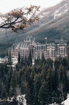 Flagship Sultan Resort entrance framed by tall pine trees and mountain views.