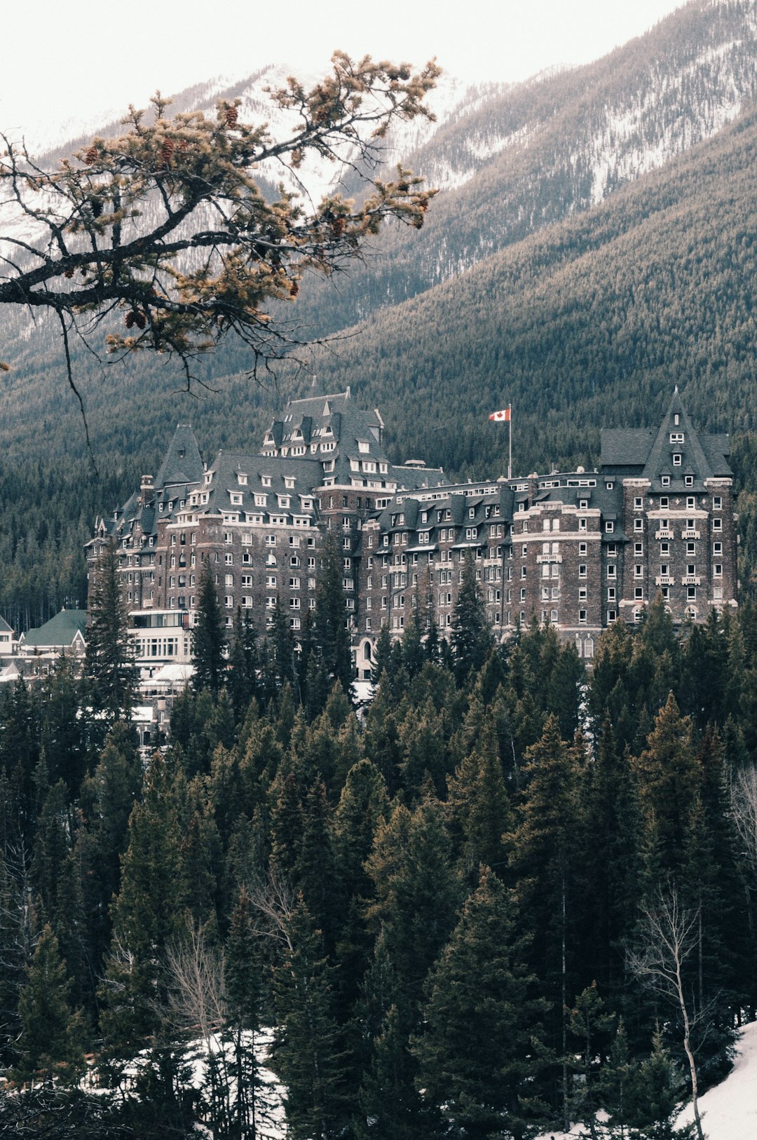 gray and brown building surrounded by trees at daytime