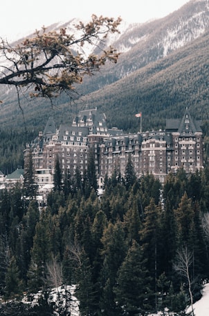 A grand, historic castle-like hotel is nestled among dense, evergreen forests with snowy mountains towering behind it. A Canadian flag is visible on top of the building, indicating its location. A large tree branch extends across the foreground, adding depth to the scene.