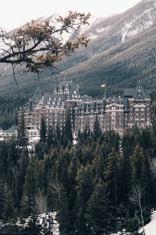 gray and brown building surrounded by trees at daytime in Banff Springs Hotel Canada