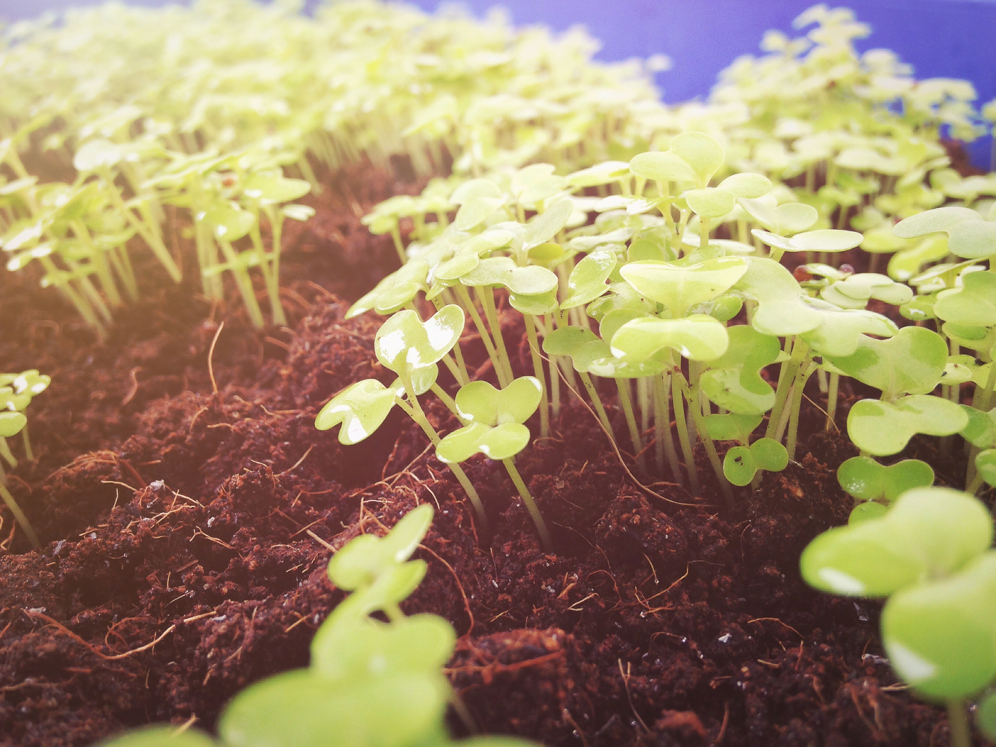 Free Unsplash photo from Auskteez Tran