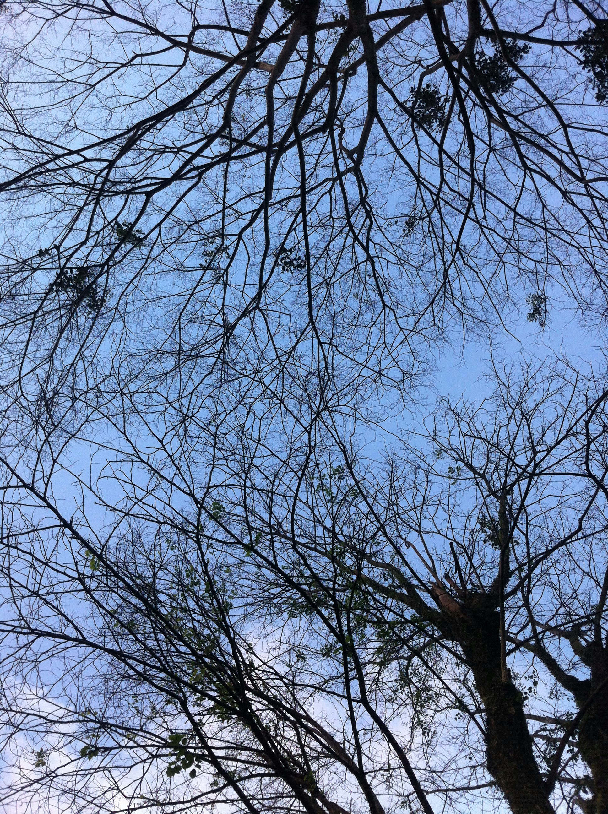 Free Unsplash photo from Adrian Agoes