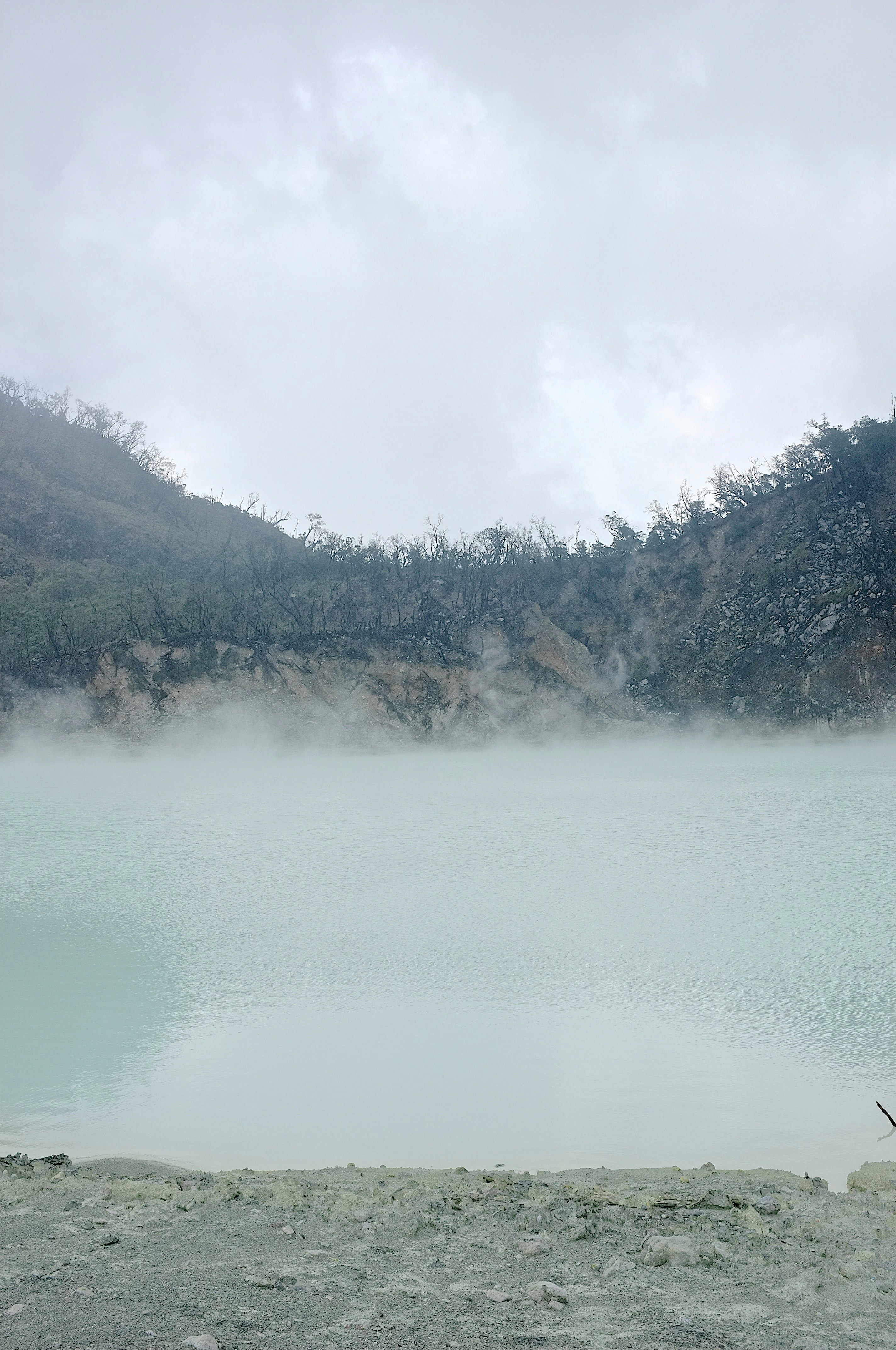 Free Unsplash photo from Adrian Agoes