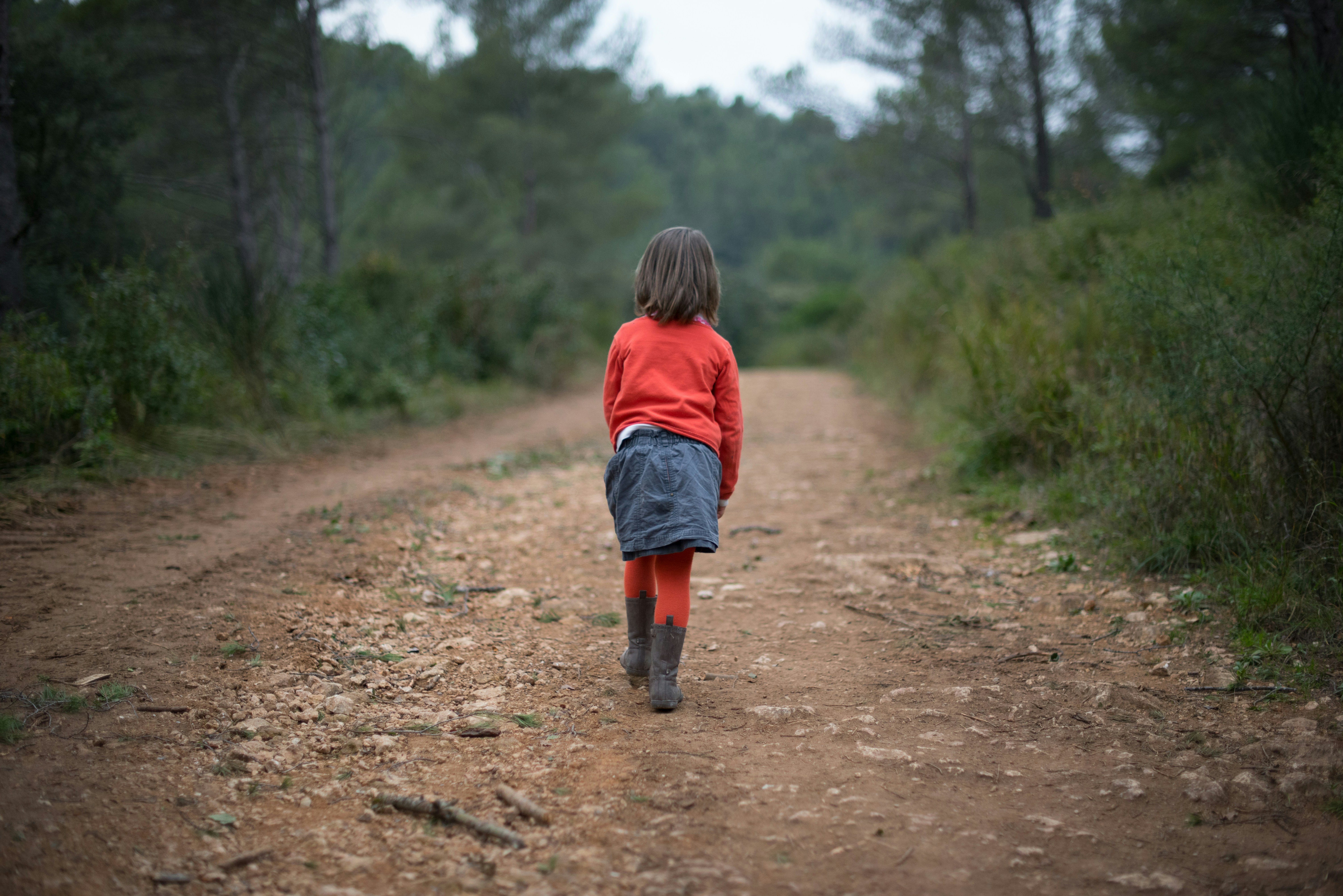 Free Unsplash photo from Guillaume de Germain