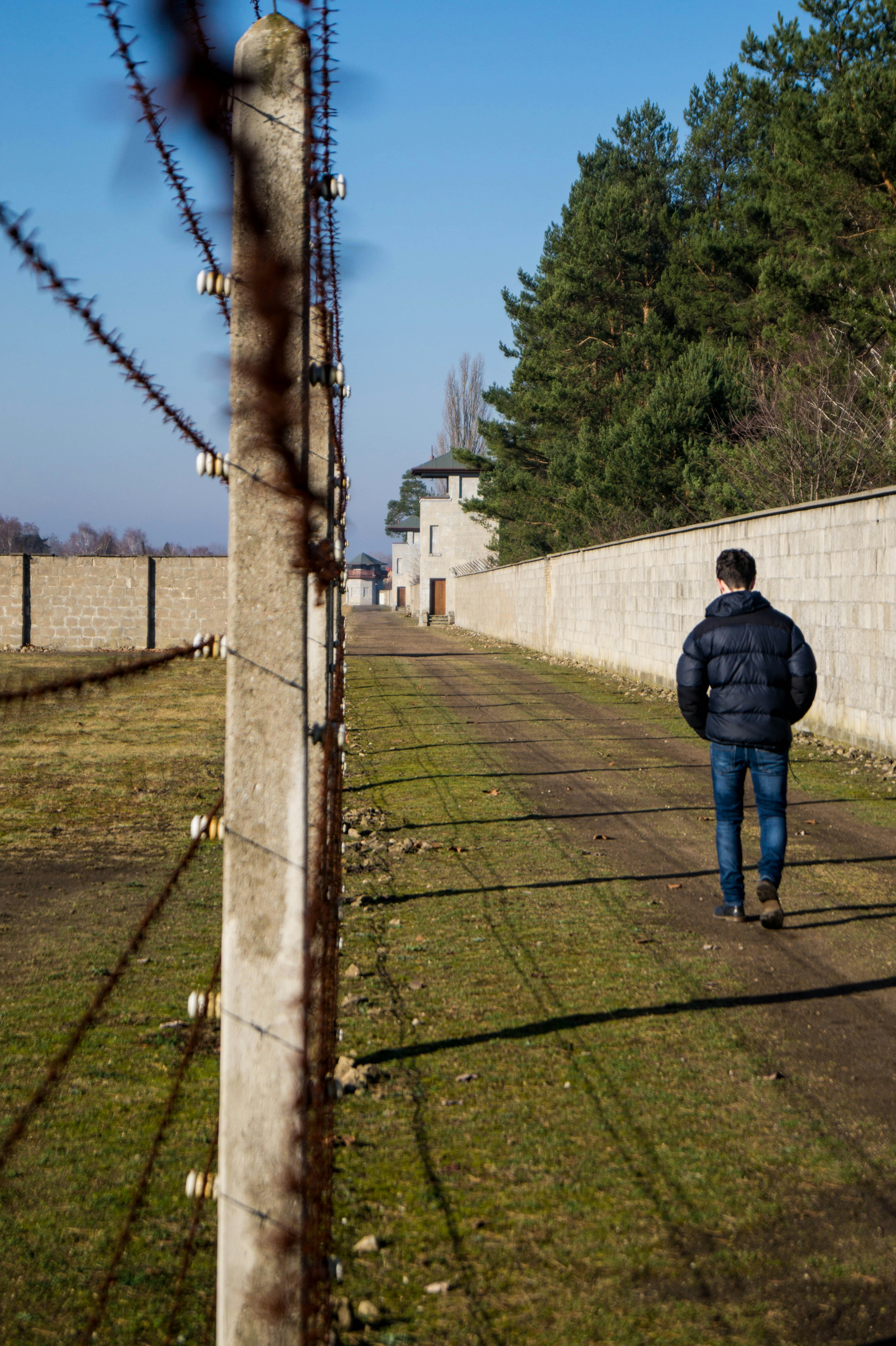 Free Unsplash photo from Matt Jones