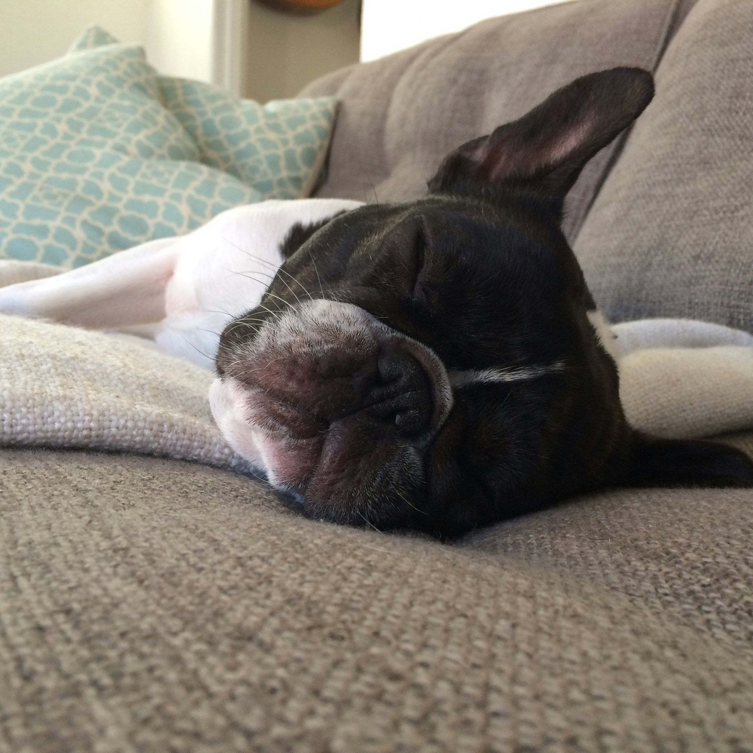 Free Unsplash photo from Maria Soledad