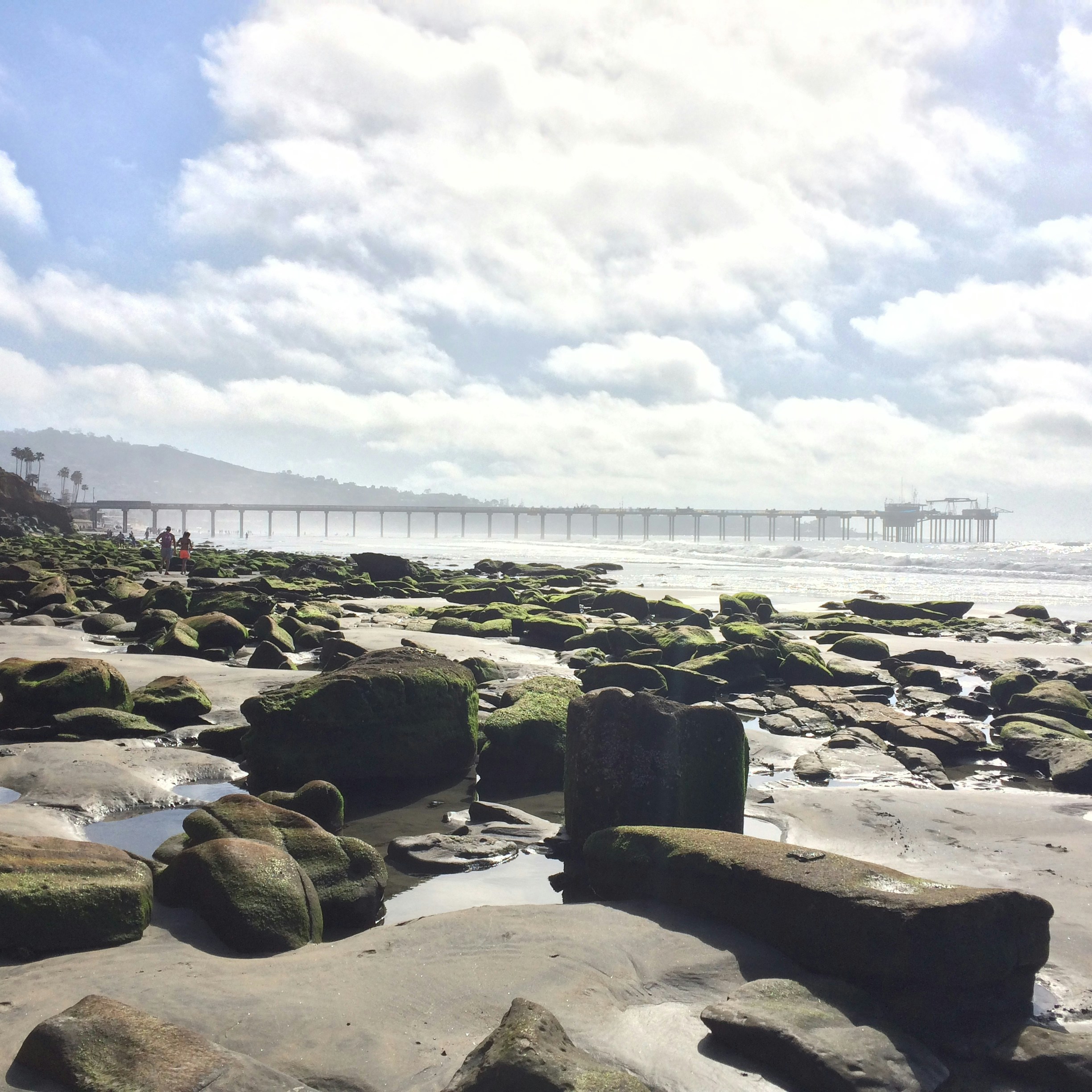 Free Unsplash photo from Maria Soledad