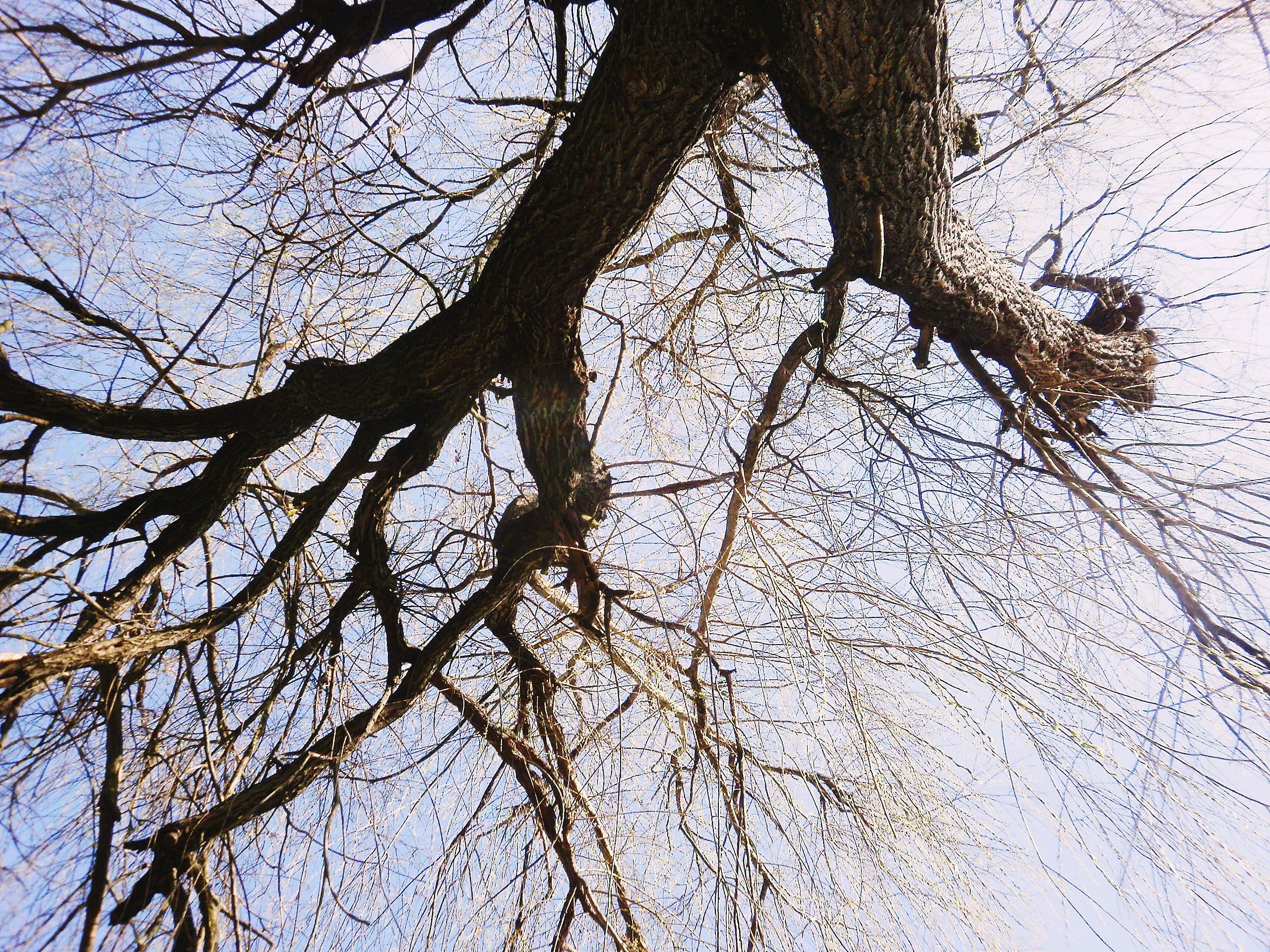 Free Unsplash photo from Kata Osto