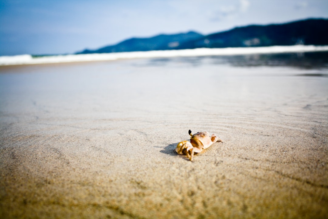 Beach photo spot Phuket Thailand