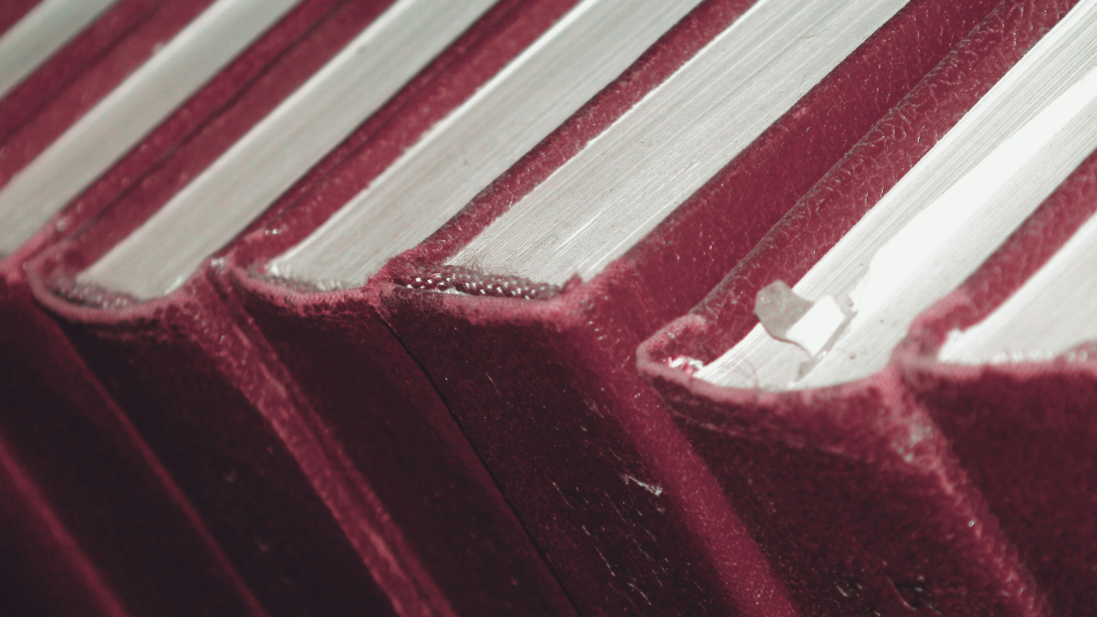 Free Unsplash photo from Elena Ilyinskaya