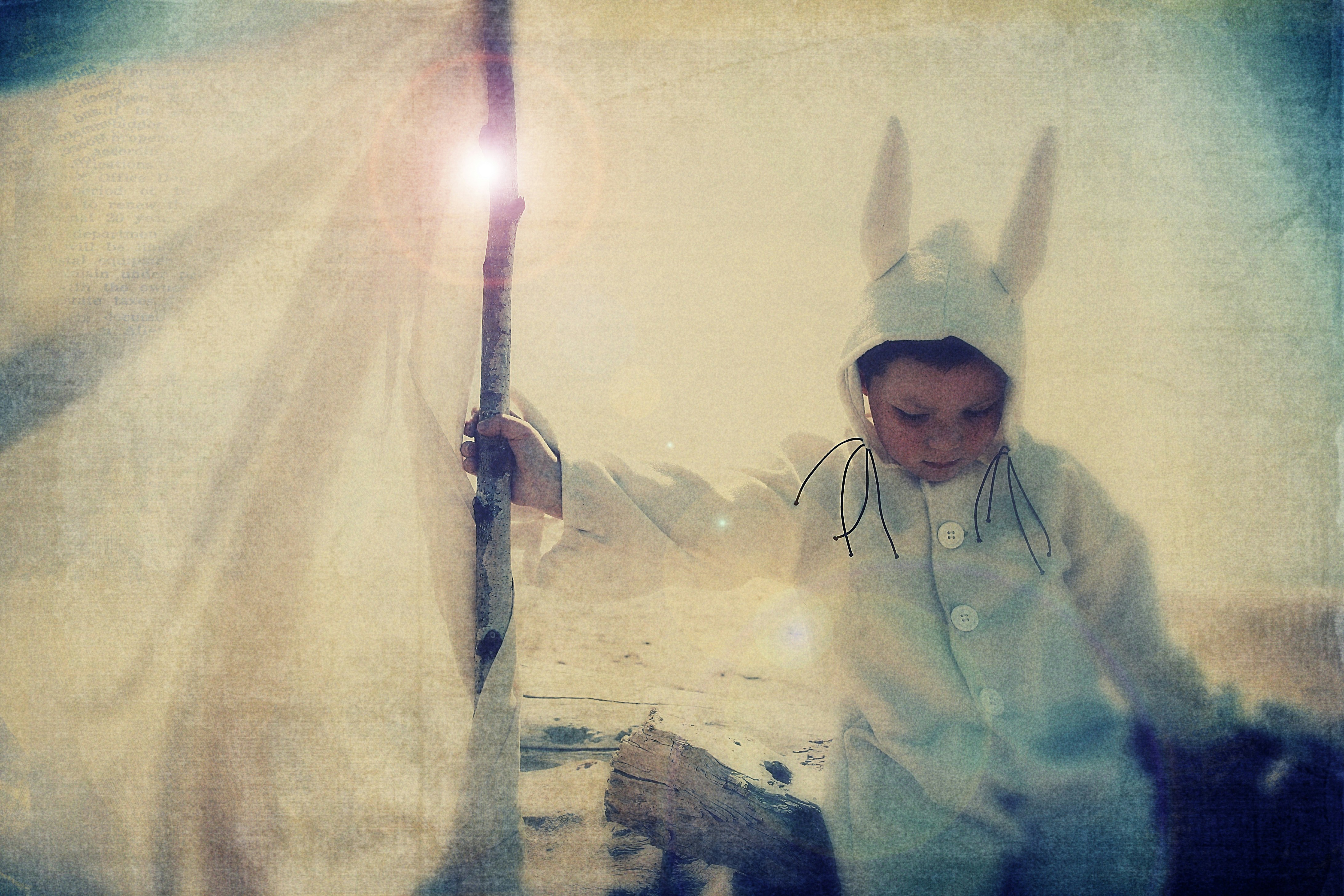 Free Unsplash photo from Terra Jean