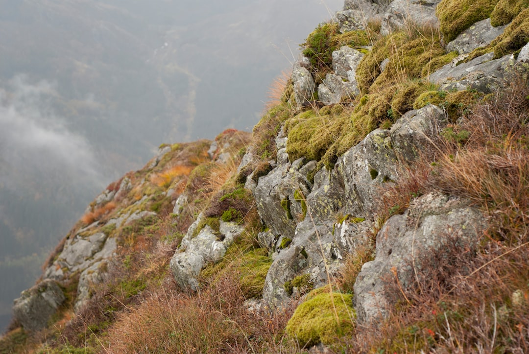 Hill station photo spot Ulriken Voss