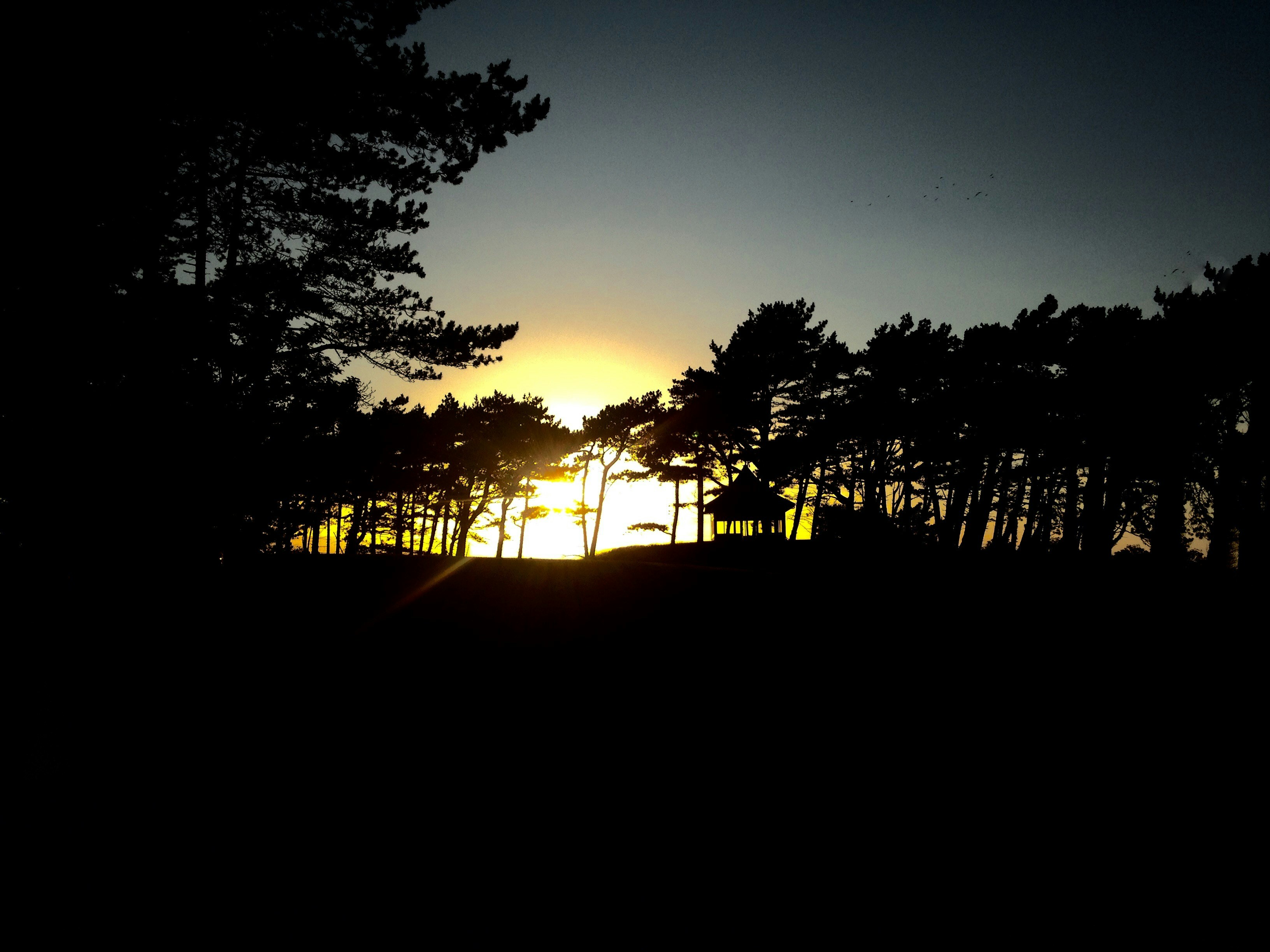 Free Unsplash photo from JAMES KEMP