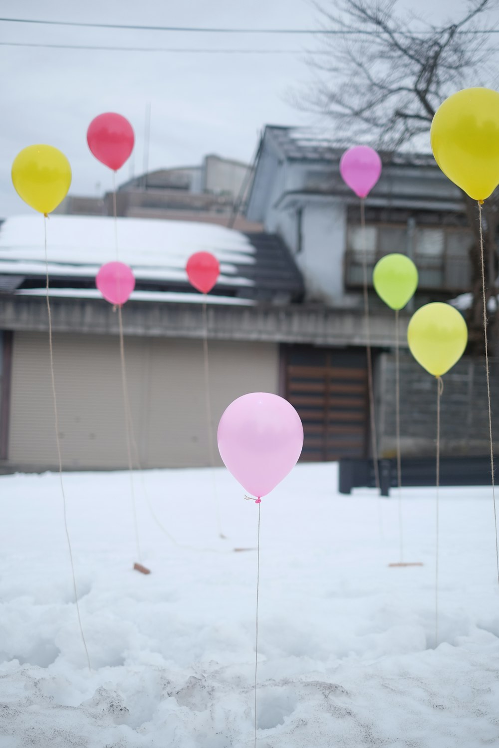 palloncino che galleggia vicino alla casa con gli alberi