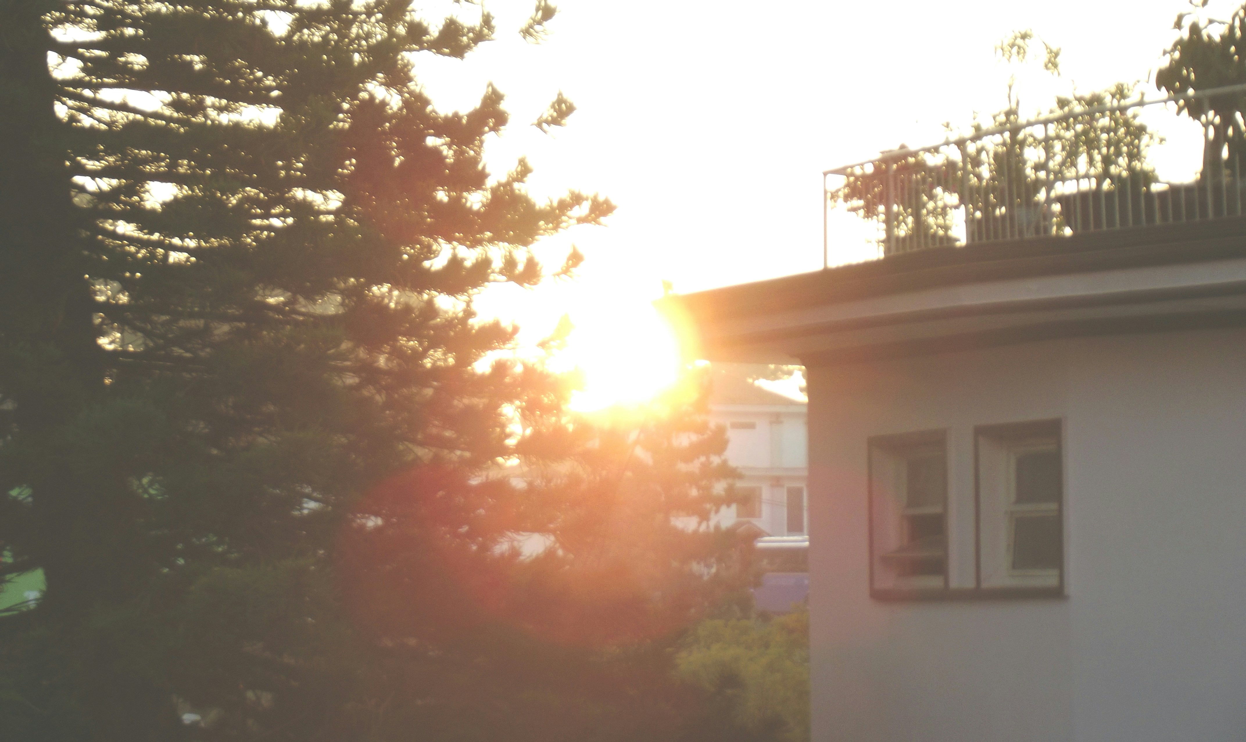 Free Unsplash photo from Dương Trí