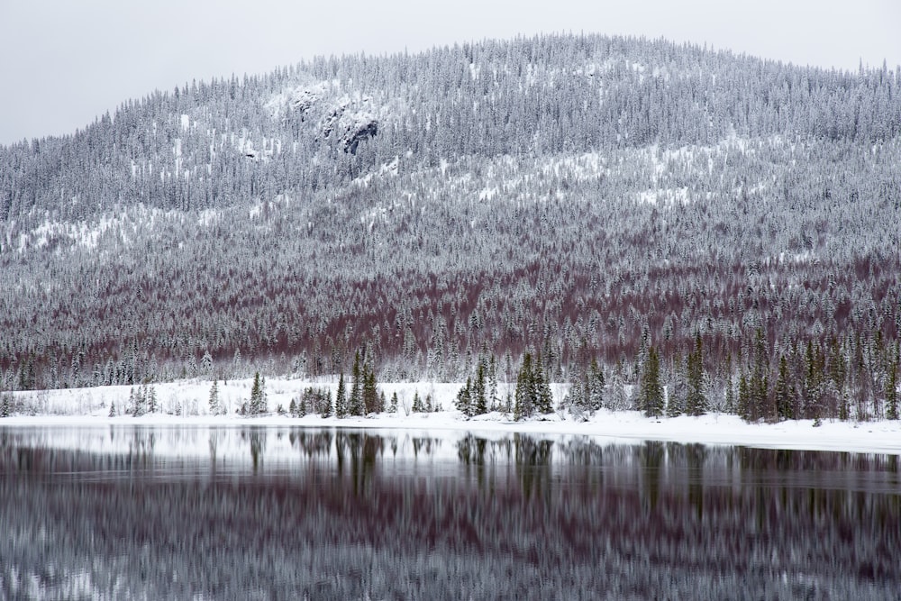 mountain beside body of water