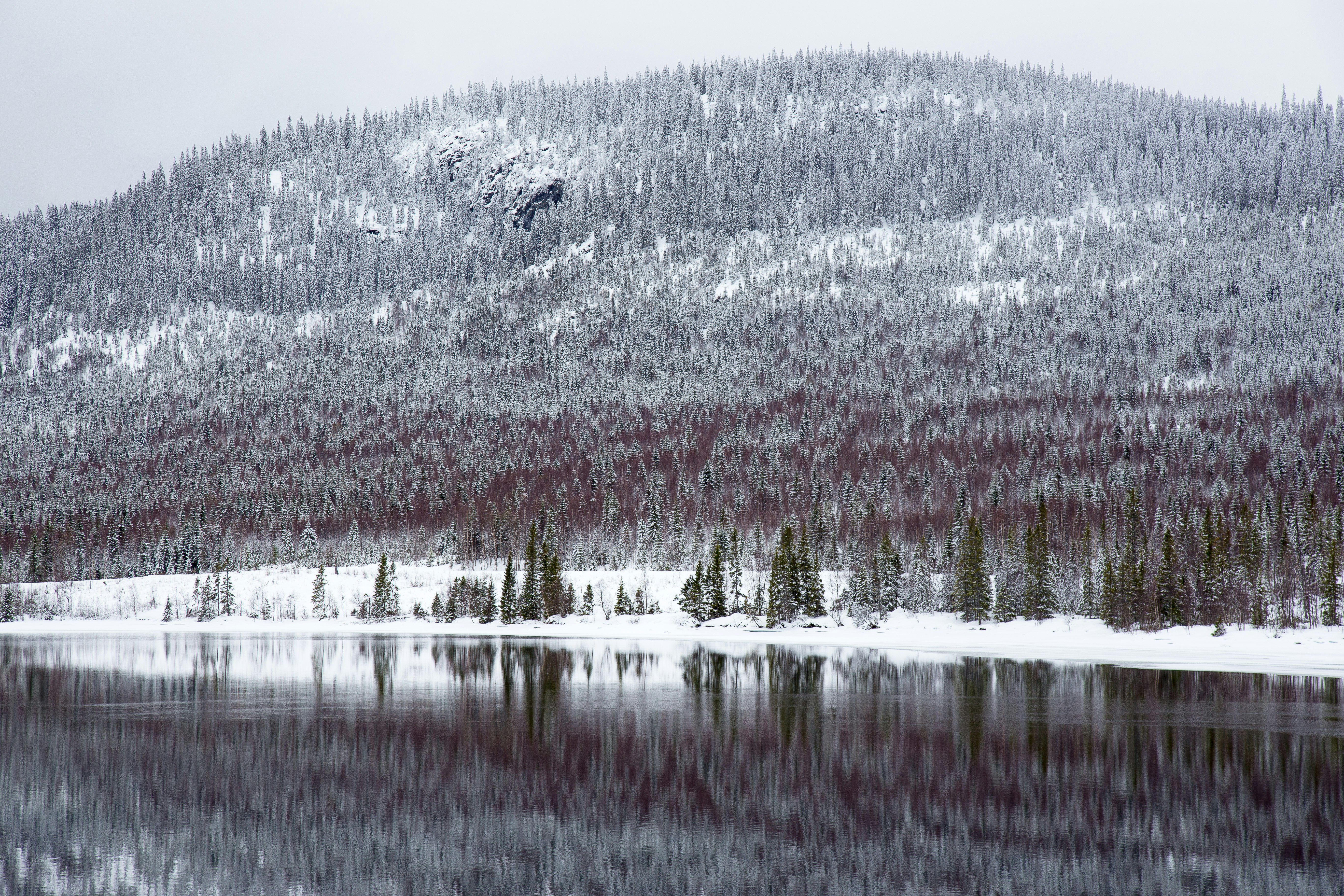 mountain beside body of water