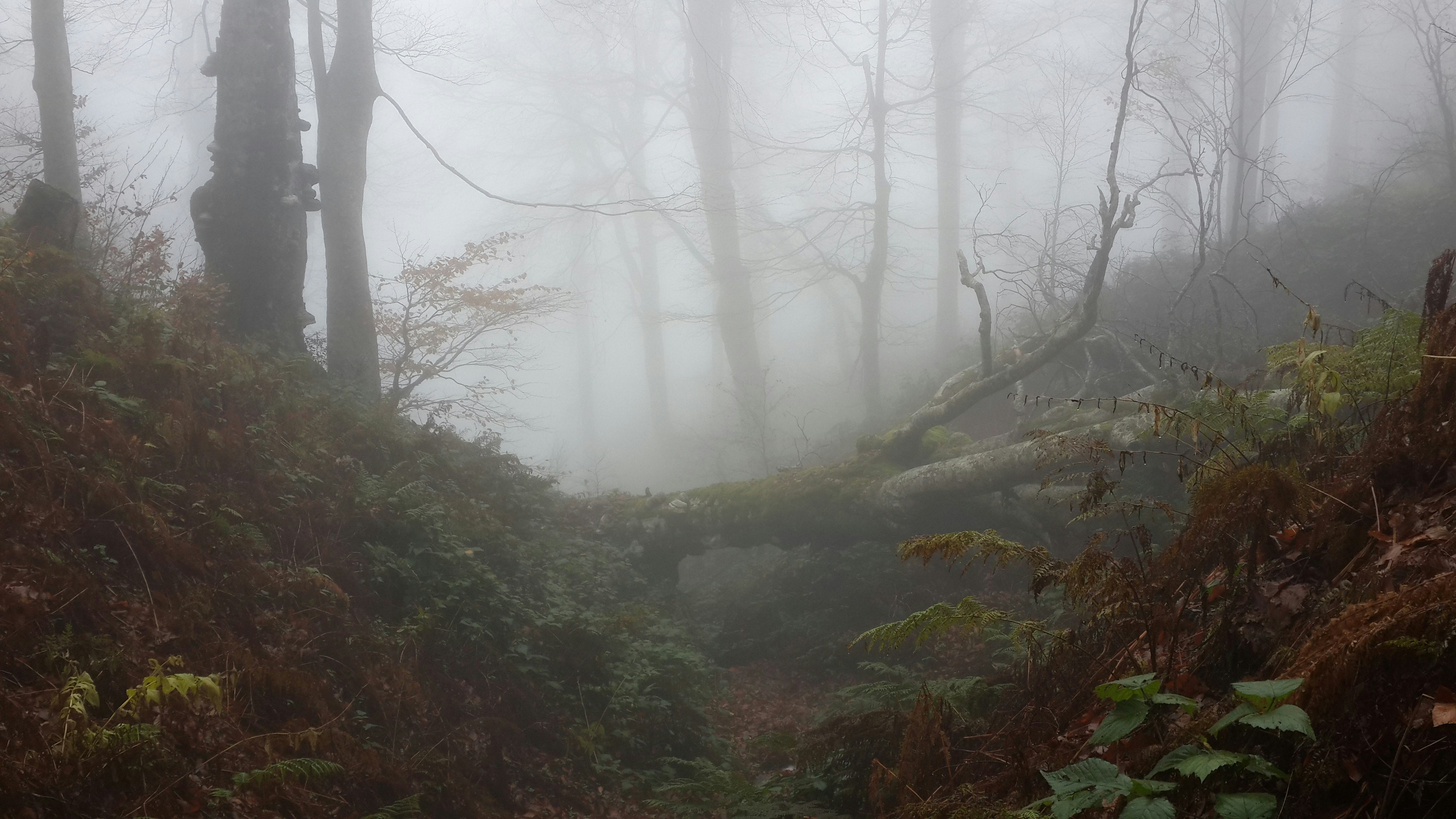 Free Unsplash photo from NAZIM AVCI