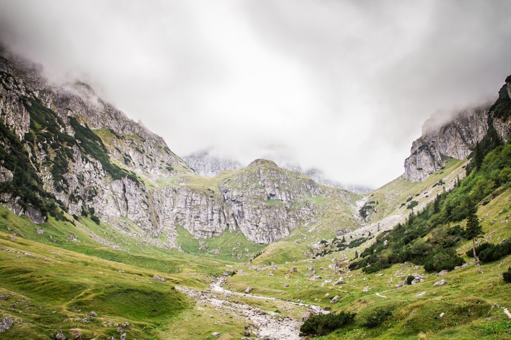 green grass surrounded with mountains