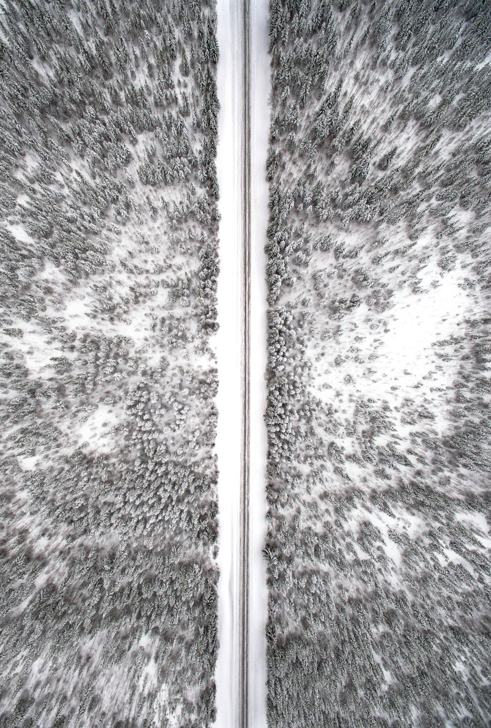 Fotografía aérea de un terreno nevado