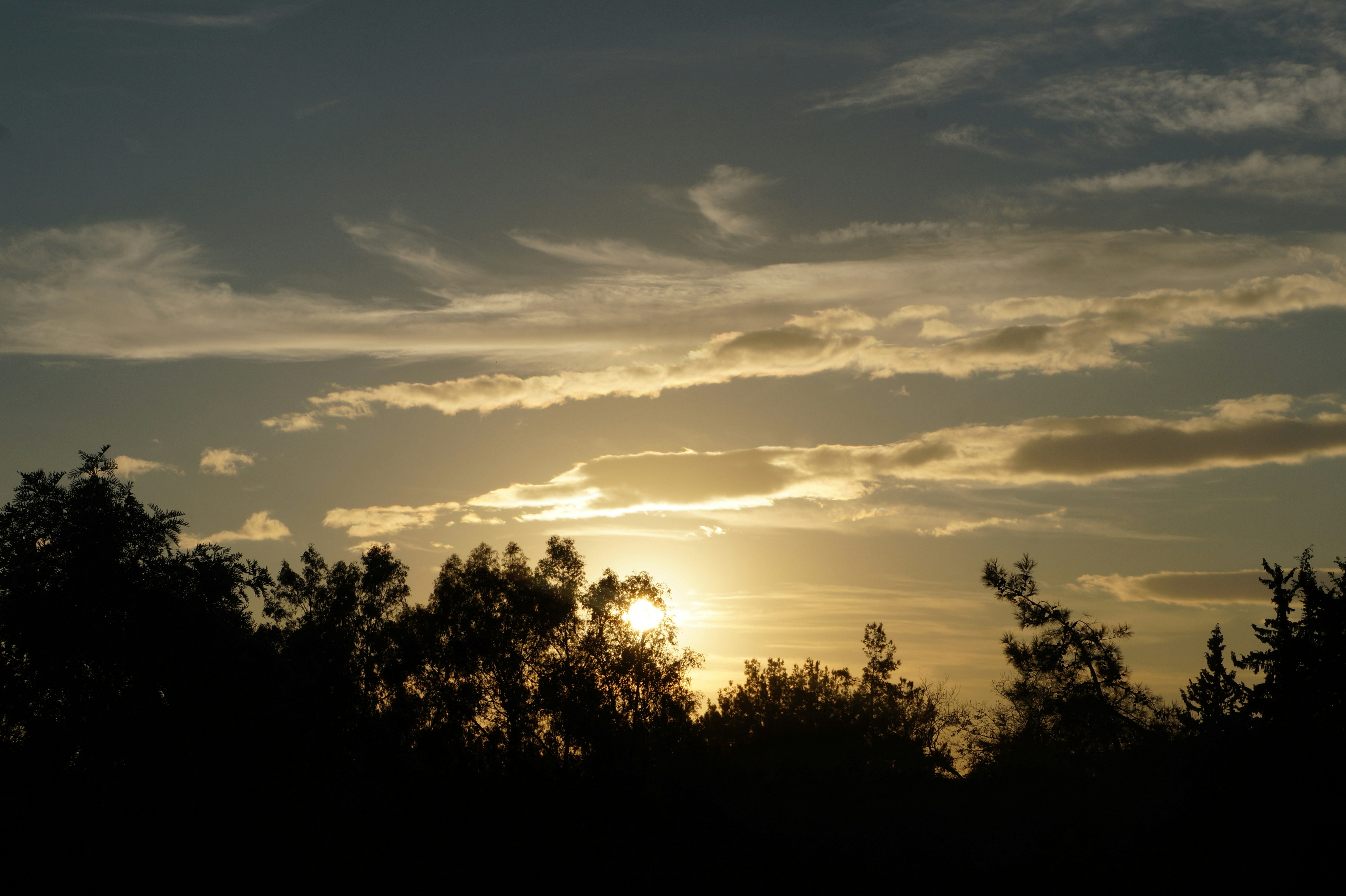 Free Unsplash photo from Aycan Doganlar