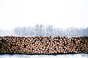Stream Okta Logs To Your Log Collector