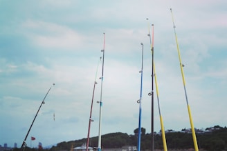 Multiple fishing rods stand upright against a backdrop of a cloudy sky. The rods are of various colors, including yellow, blue, and red. In the background, distant buildings and trees can be seen along with a few flags in the landscape.