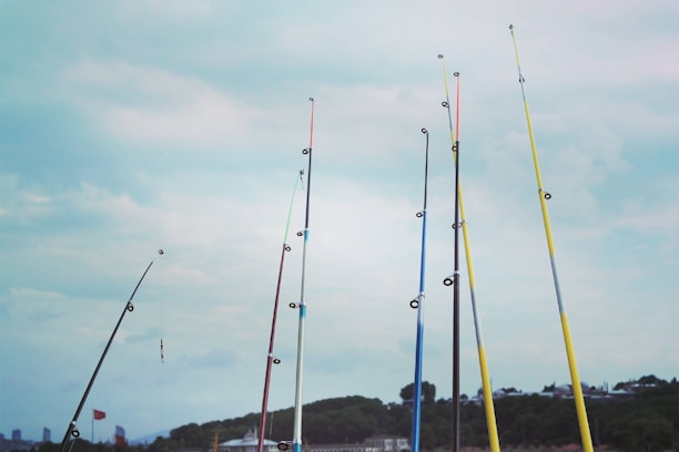 Multiple fishing rods stand upright against a backdrop of a cloudy sky. The rods are of various colors, including yellow, blue, and red. In the background, distant buildings and trees can be seen along with a few flags in the landscape.