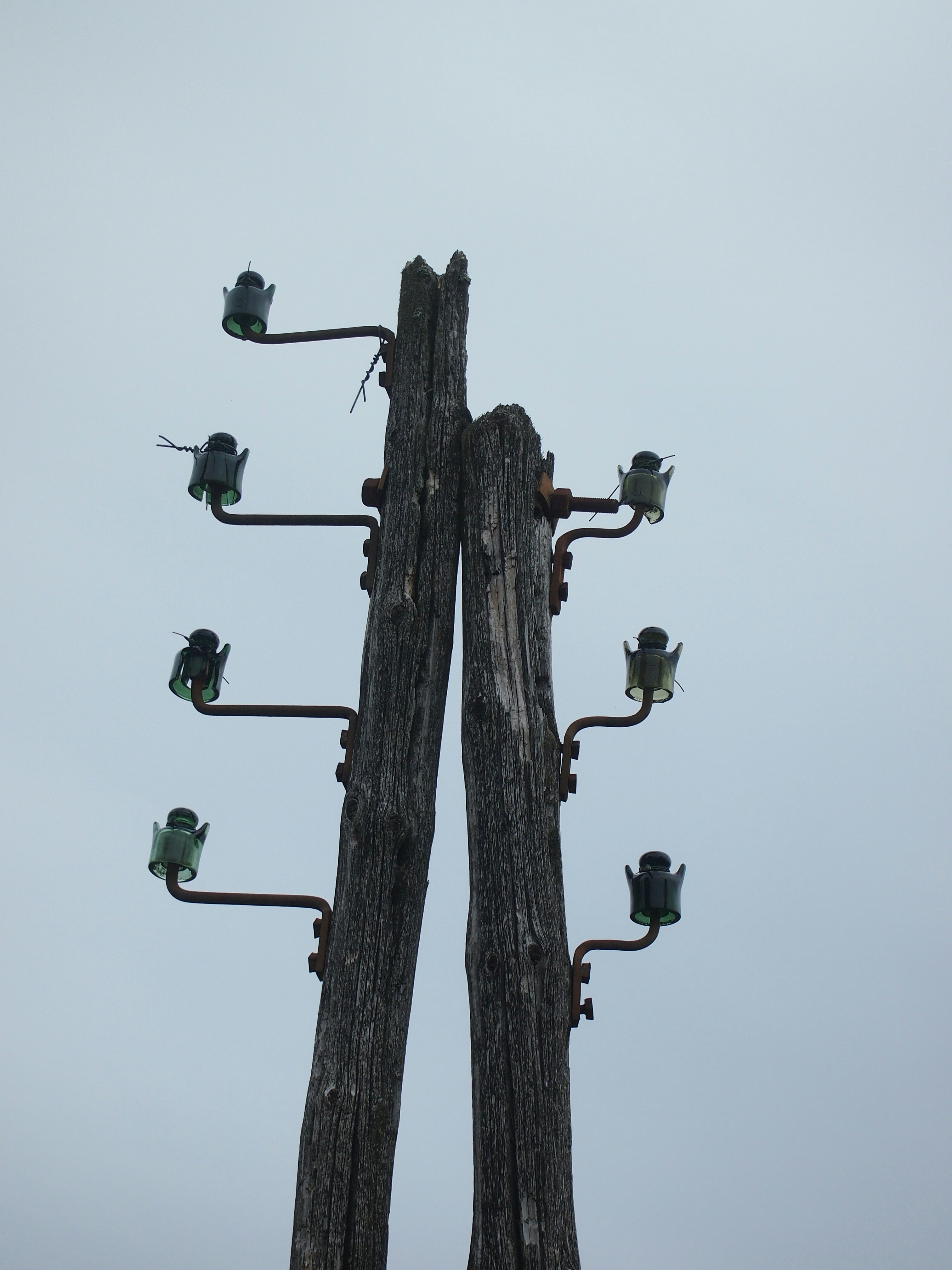 Free Unsplash photo from Maximilien Regout