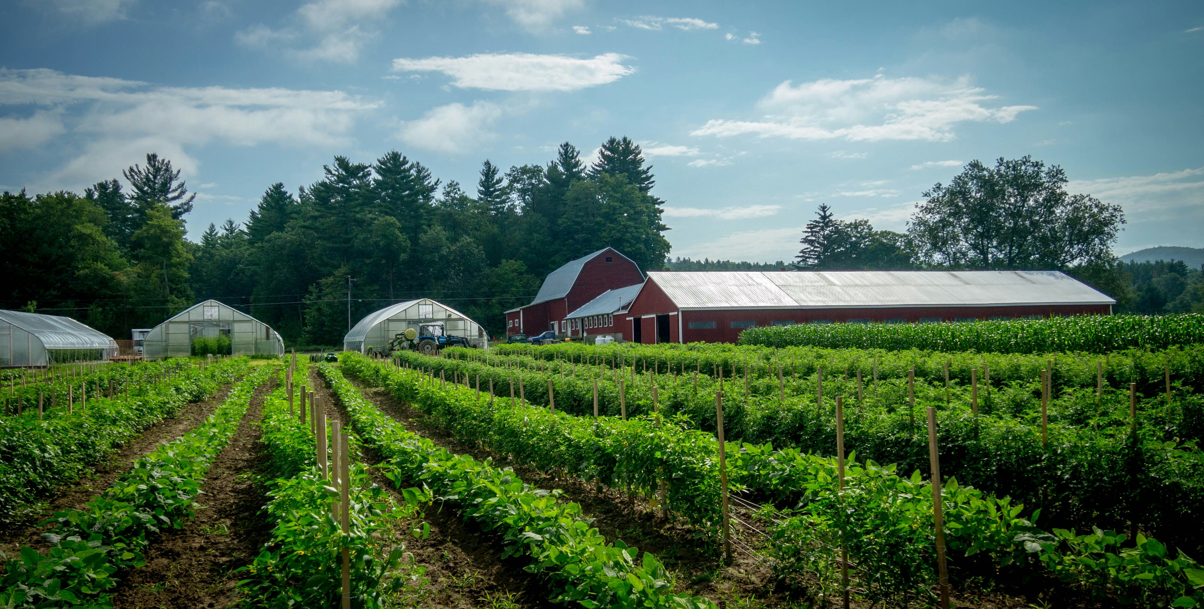 Free Unsplash photo from Maximilien Regout