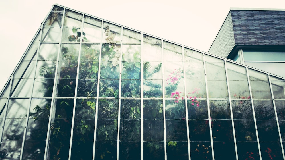 Edificio de espejos con el reflejo de los árboles verdes durante el día