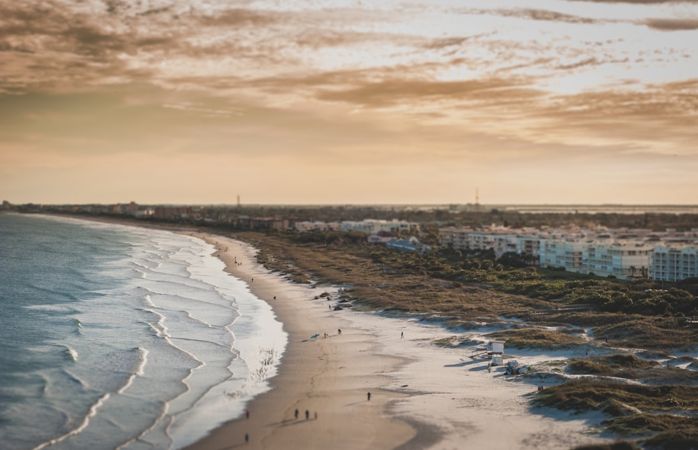 people on beach shore