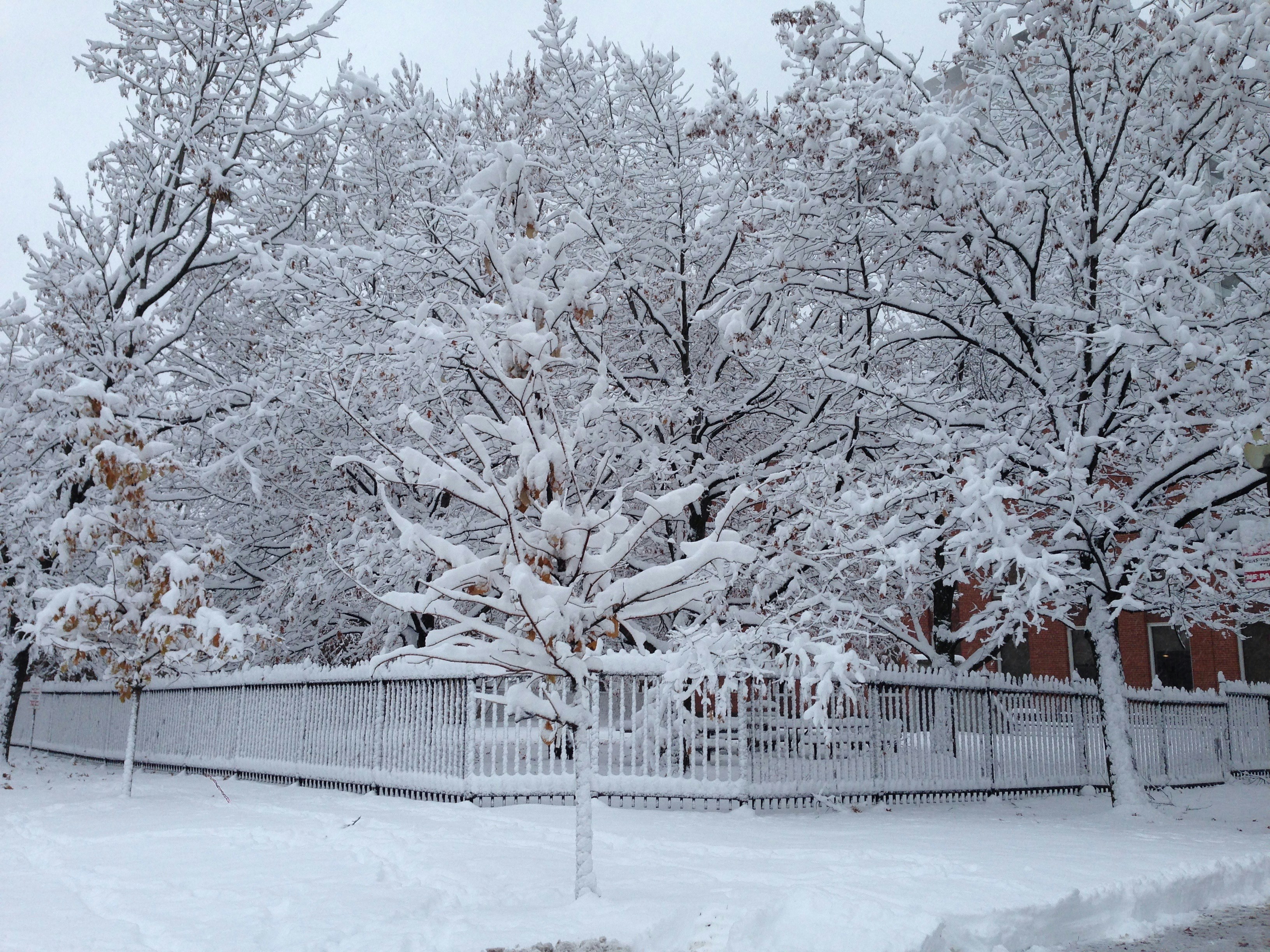 Free Unsplash photo from Kerrie Watts