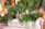 An assortment of fresh leafy greens is displayed in glass jars on a wooden shelf. The selection includes kale, Swiss chard, and parsley. A rustic setting with a picture on the wooden wall and a white lace tablecloth adds a natural and homely feel.