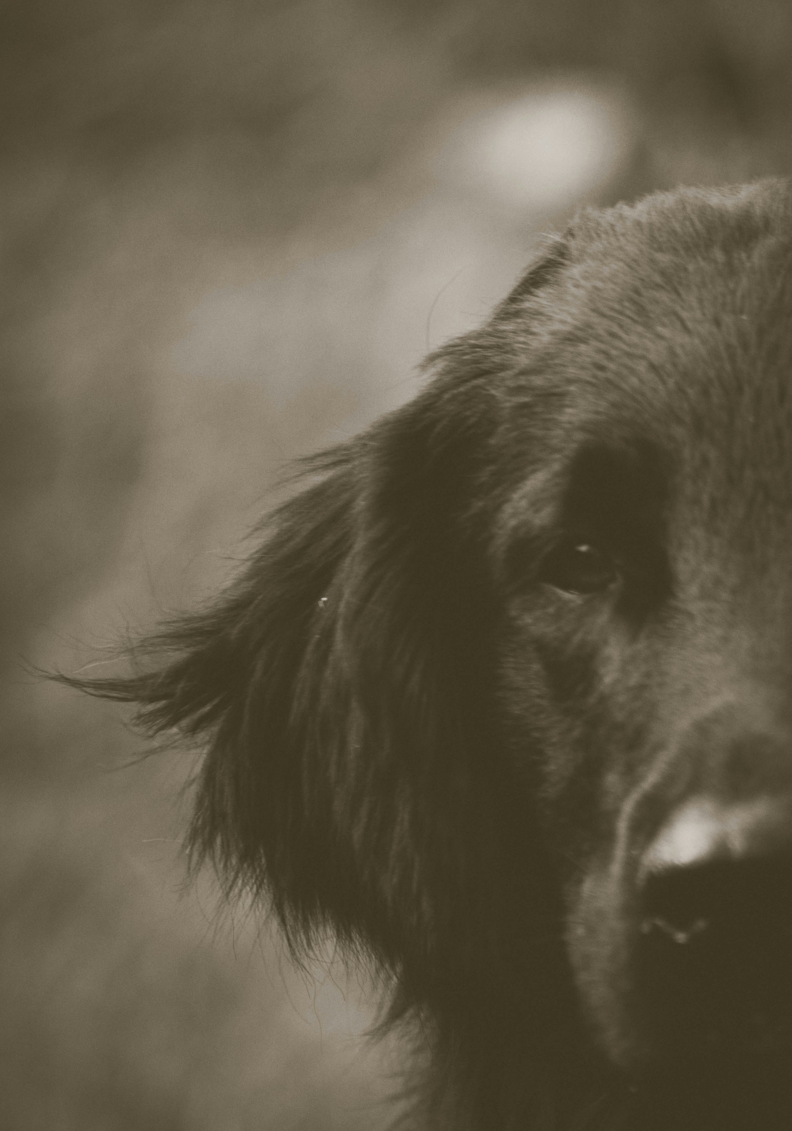 Free Unsplash photo from Matt Jones