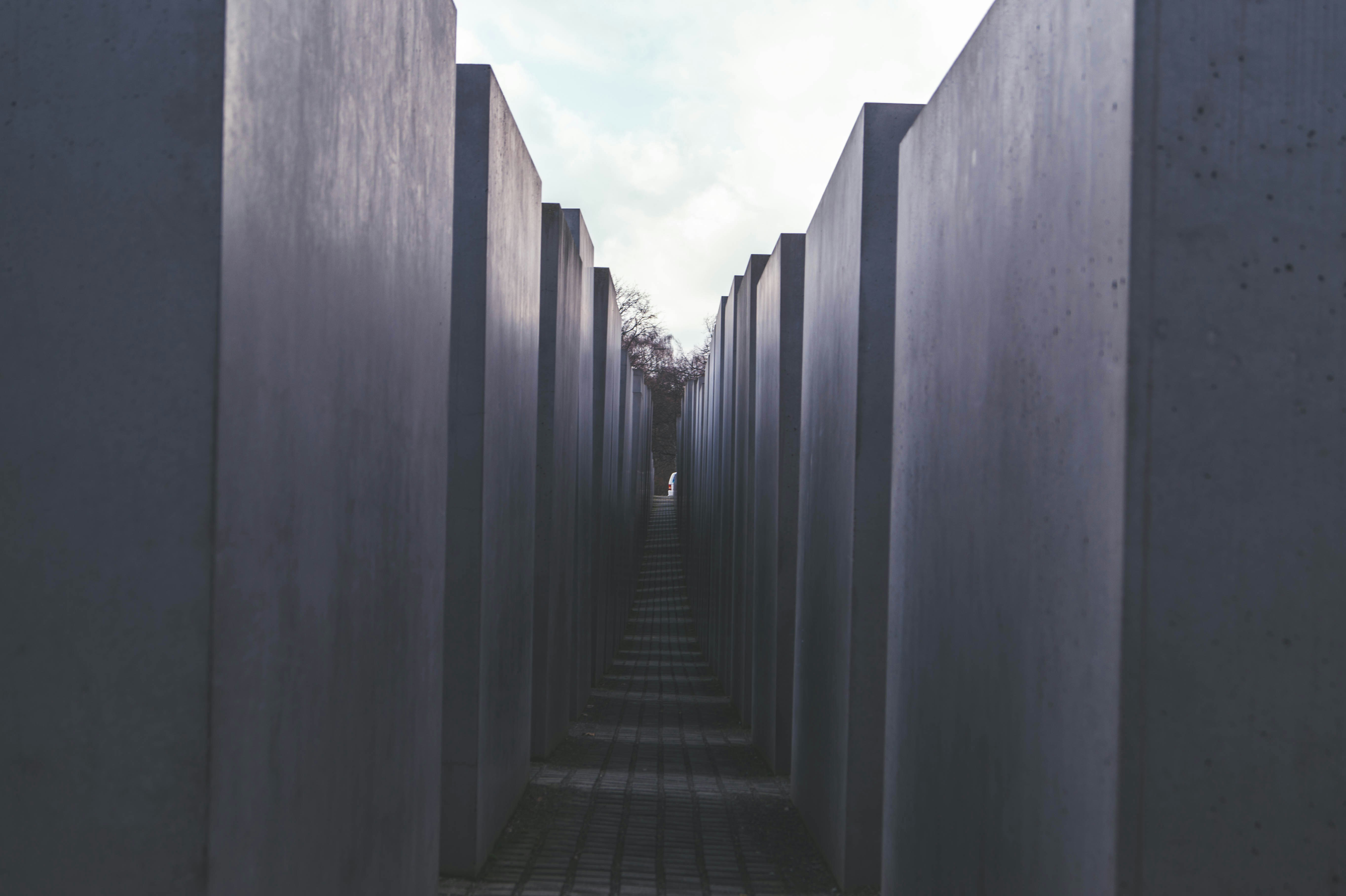 Free Unsplash photo from Matt Jones