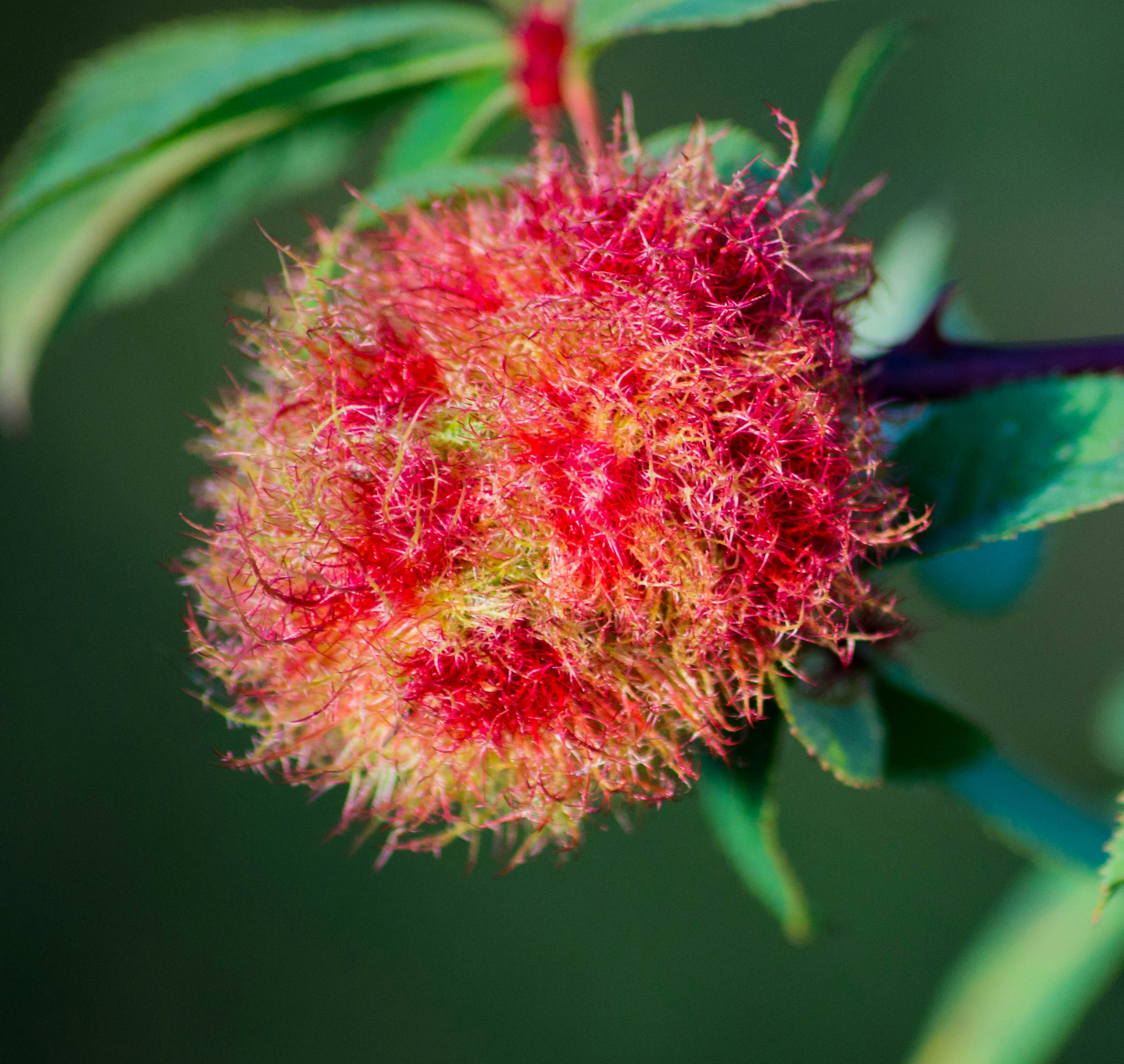 Free Unsplash photo from Matt Jones