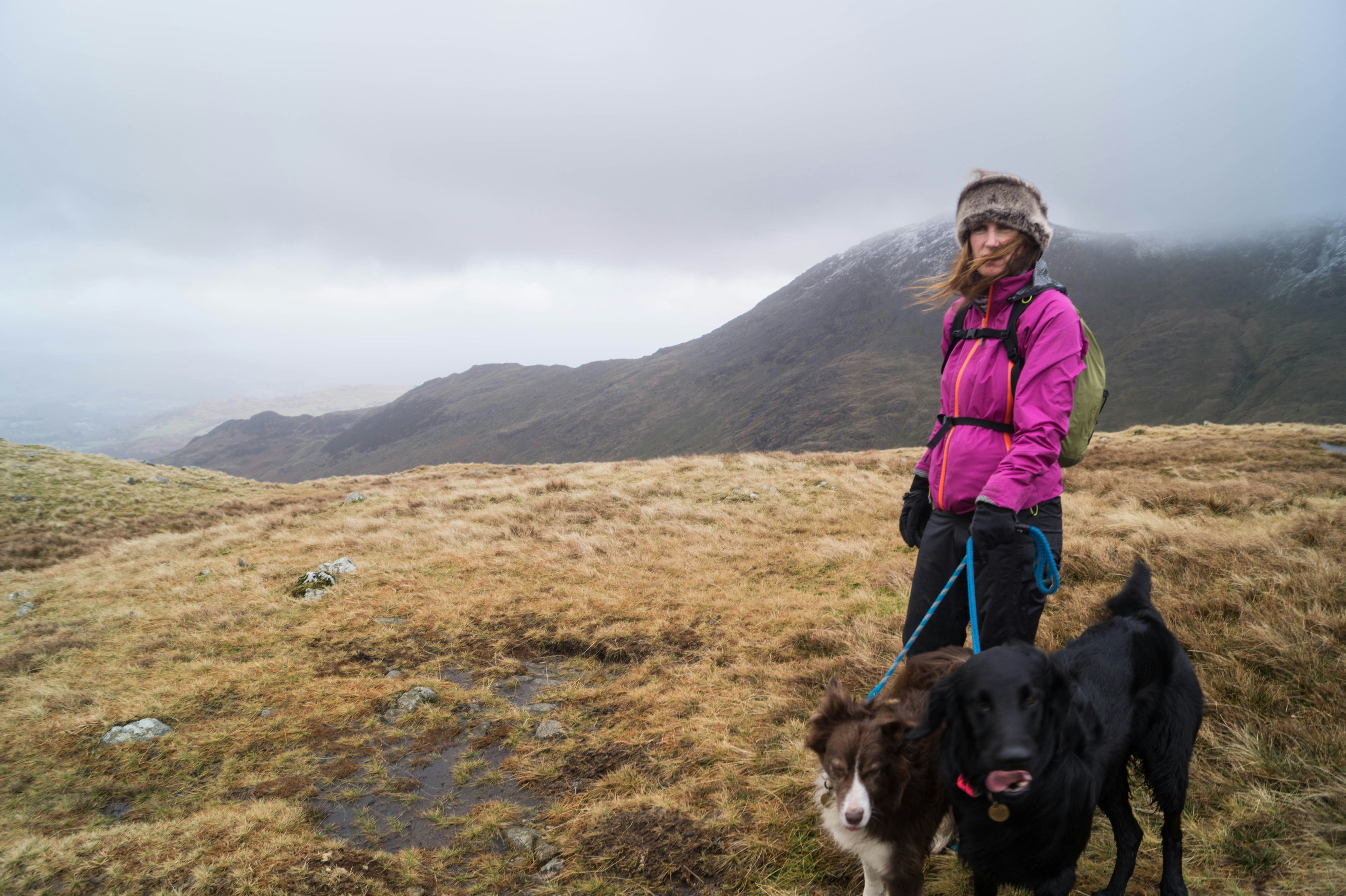 Free Unsplash photo from Matt Jones