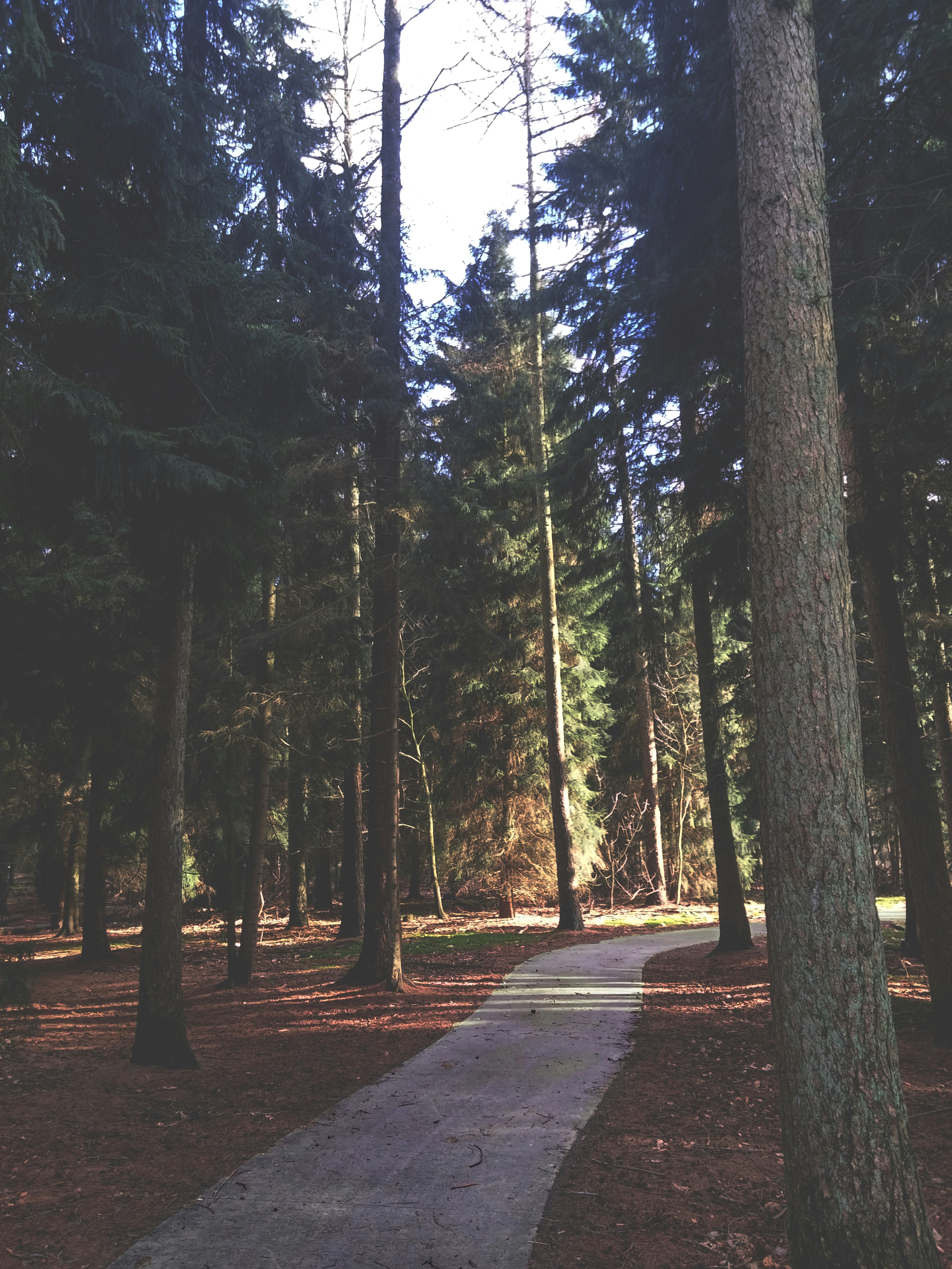 Free Unsplash photo from Daniel Knegt