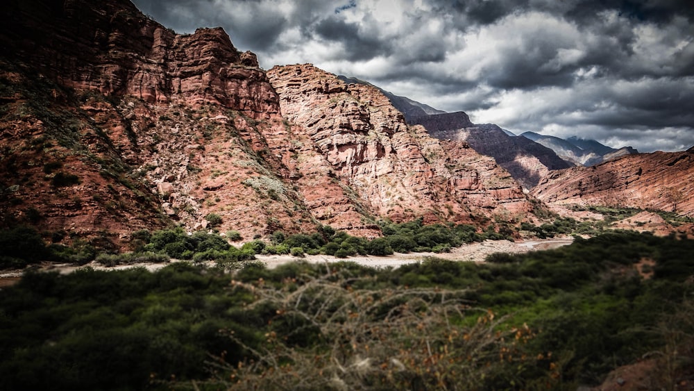 mountain ranges and river with grass