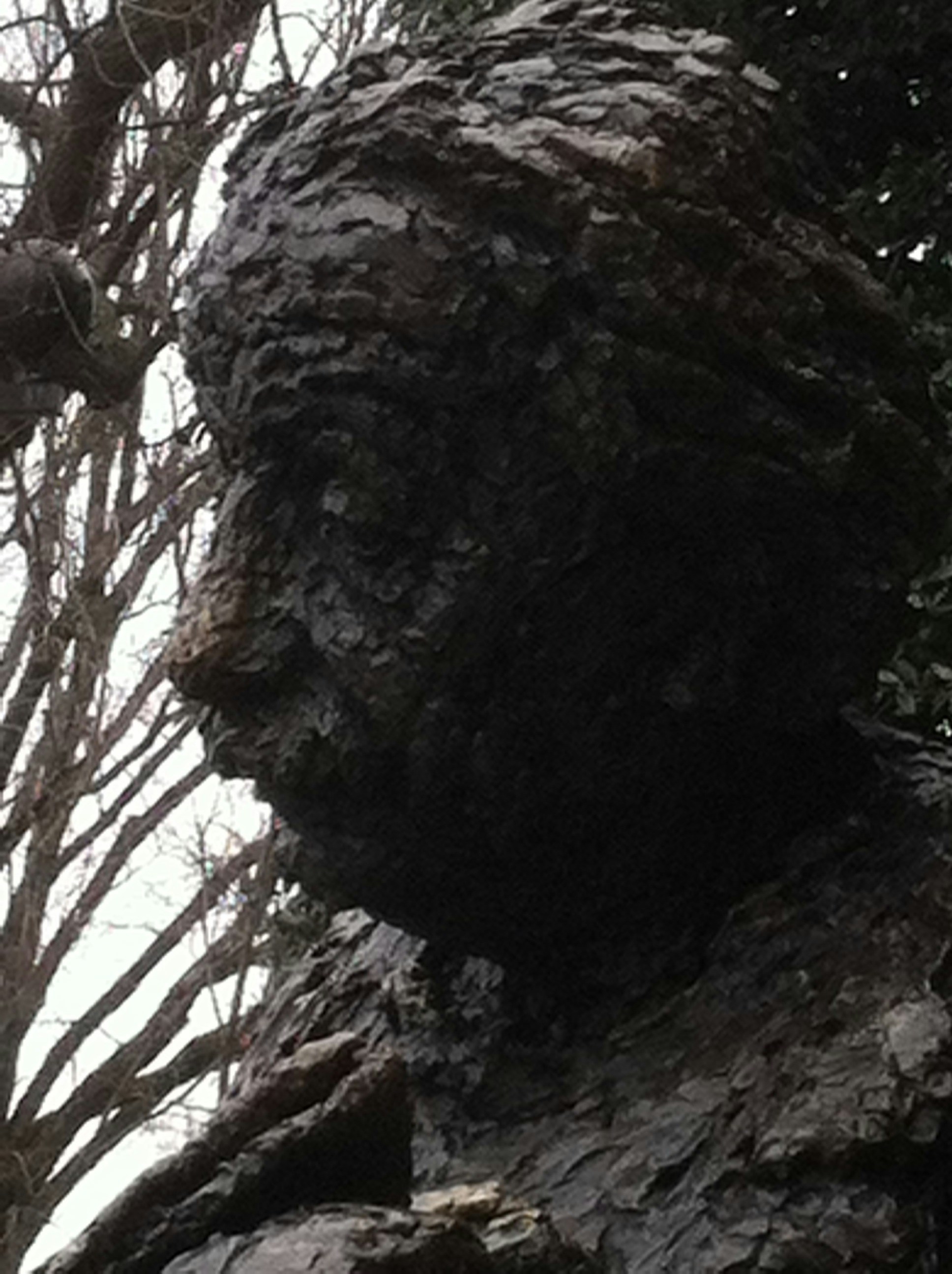 Free Unsplash photo from Local Micro