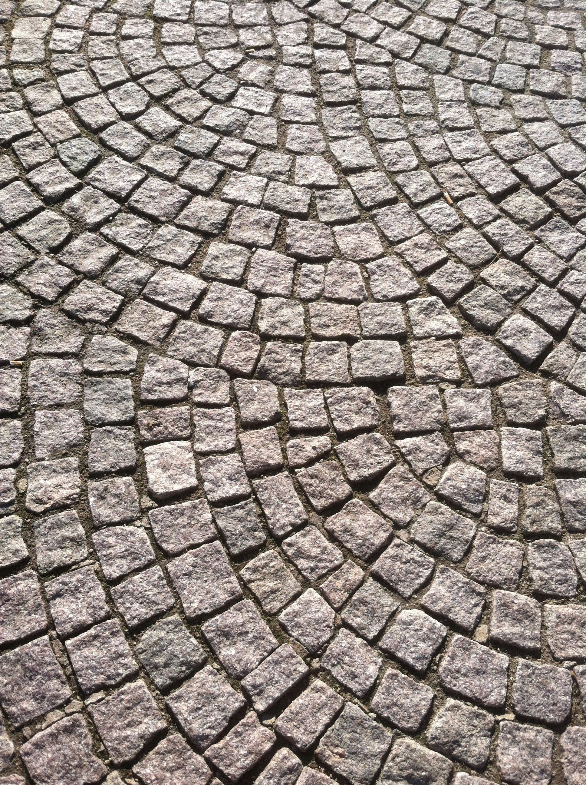 Free Unsplash photo from Local Micro