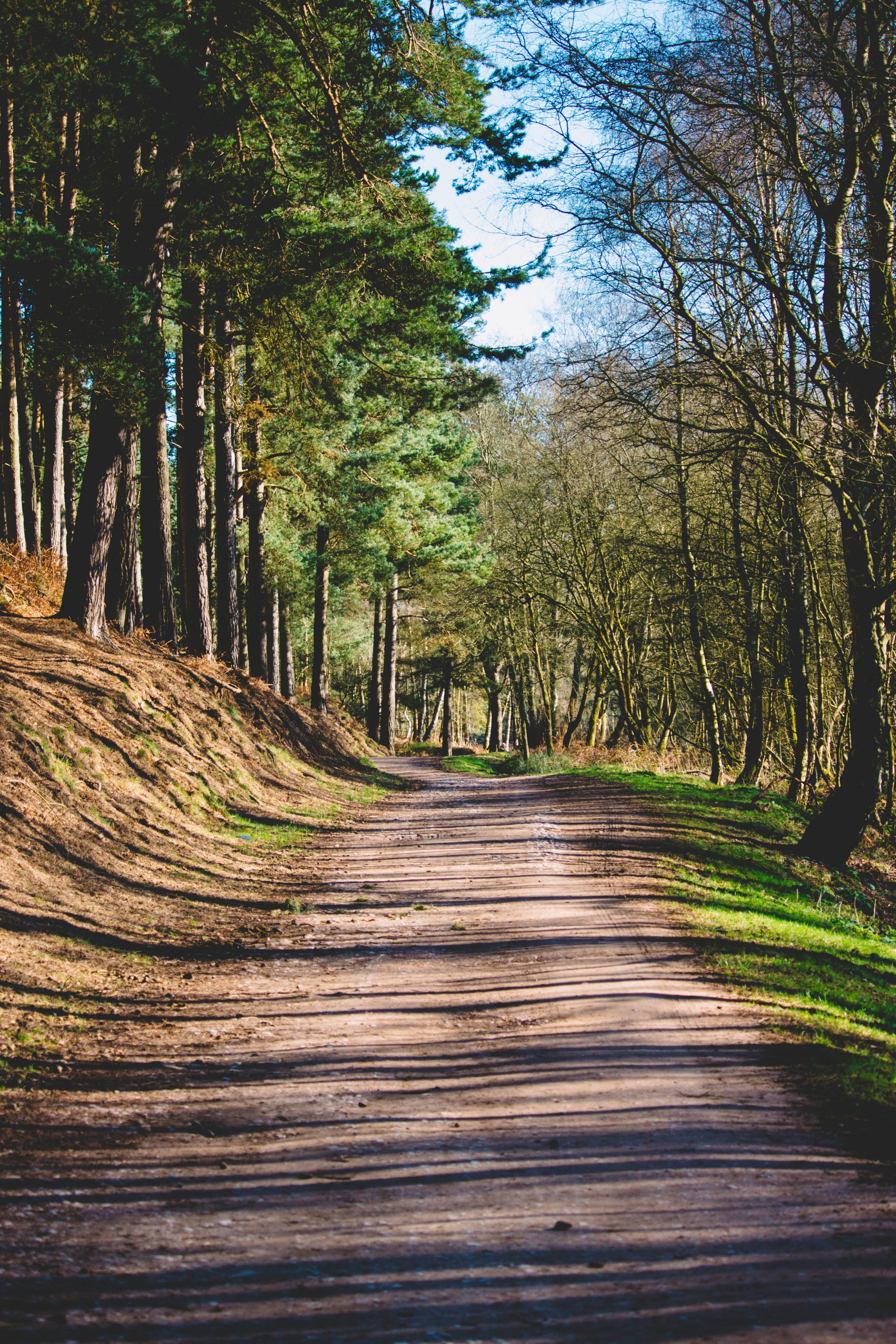 Free Unsplash photo from Alex Holyoake