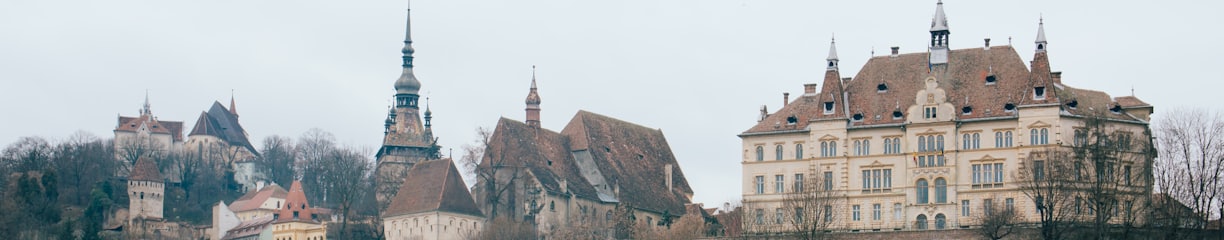 beige and brown gothic building on hill