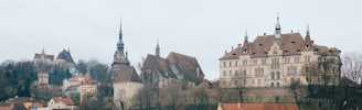 beige and brown gothic building on hill