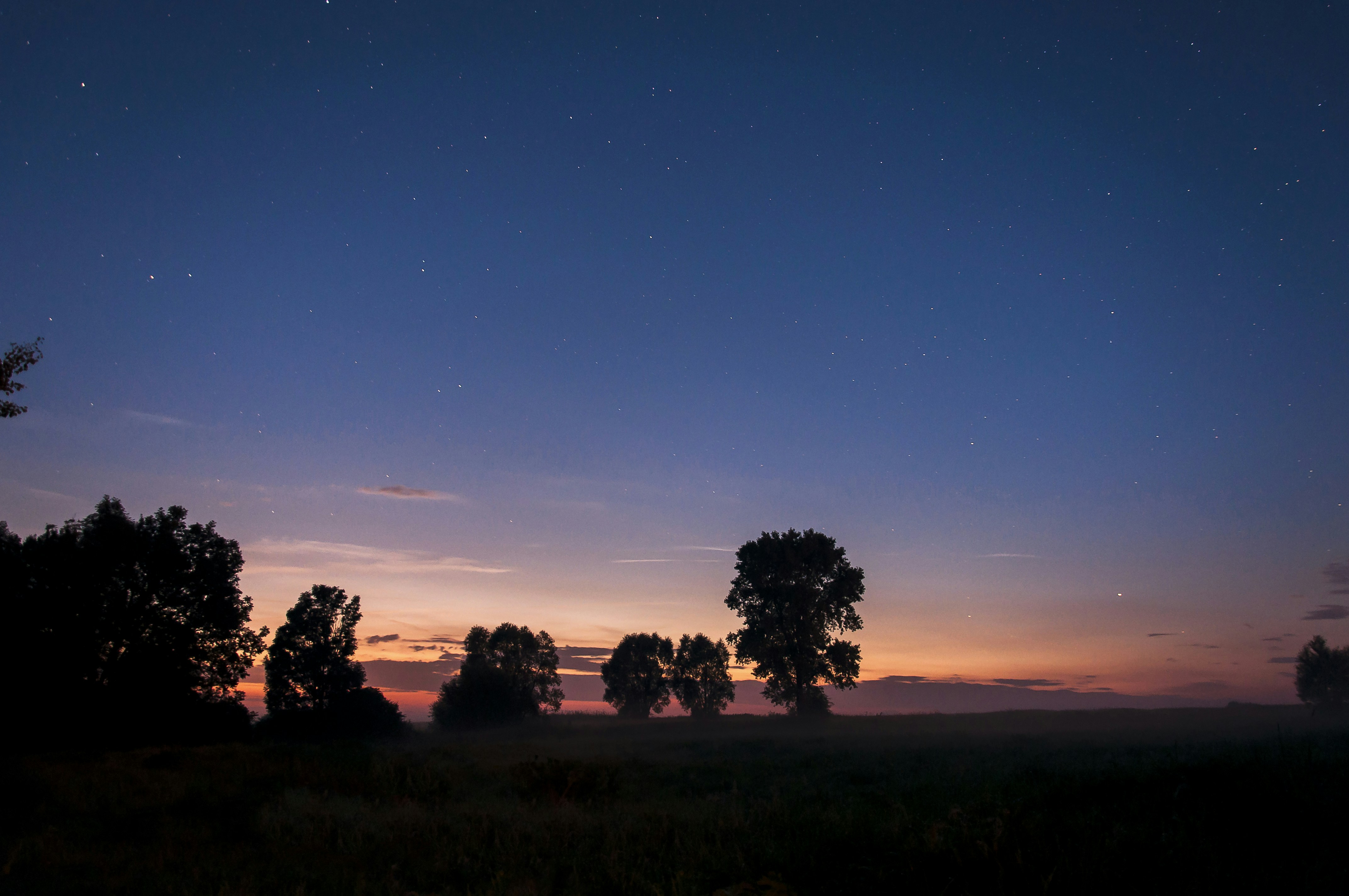 Free Unsplash photo from Katarzyna Kos