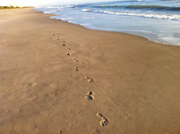 Footprints leading along the shoreline with a Bible resting on a rock nearby.