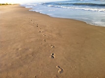 Footprints lead along a sandy beach adjacent to gentle ocean waves. The shore is empty, with footprints disappearing into the distance.