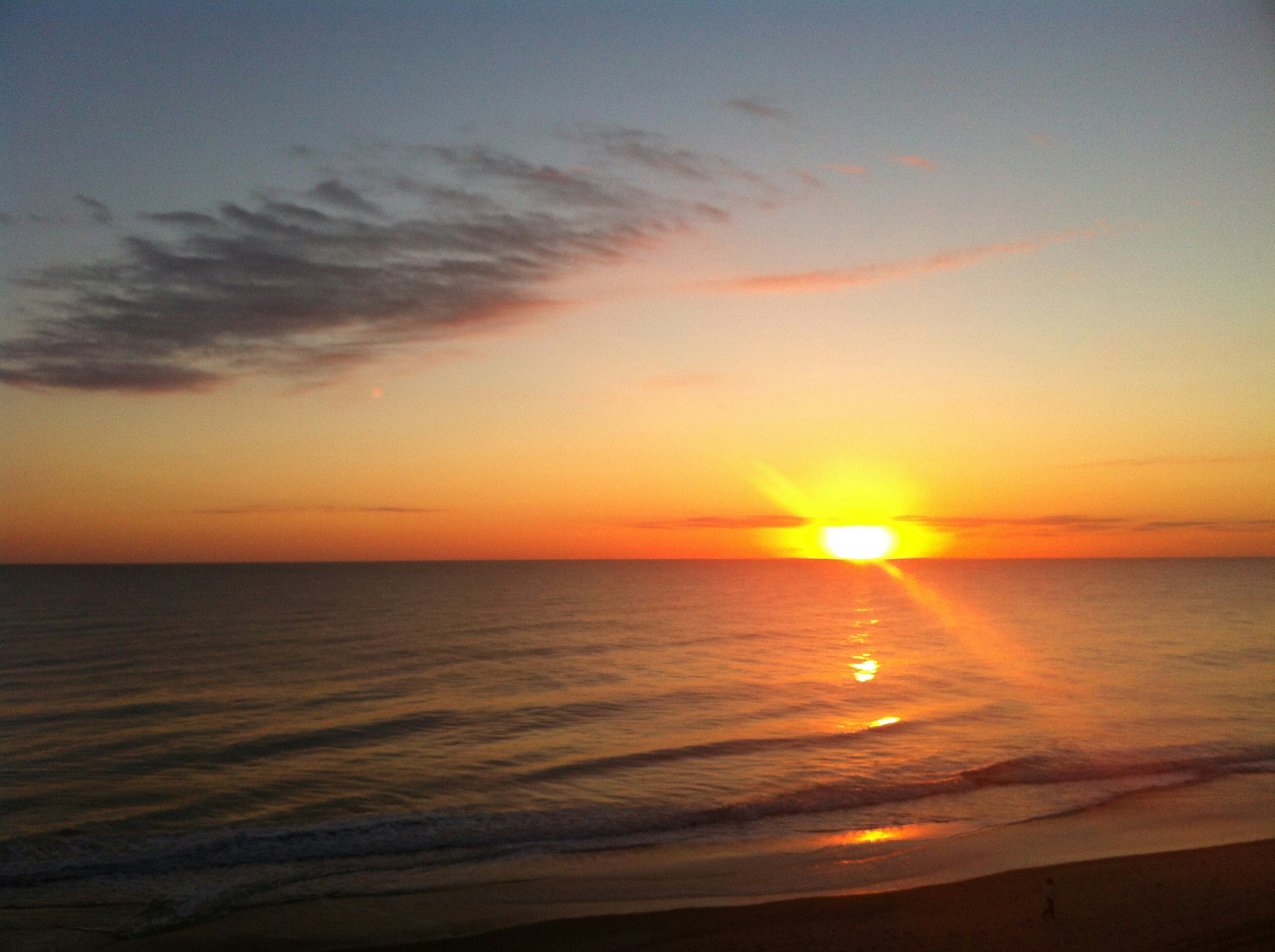 Free Unsplash photo from Timothy Taylor