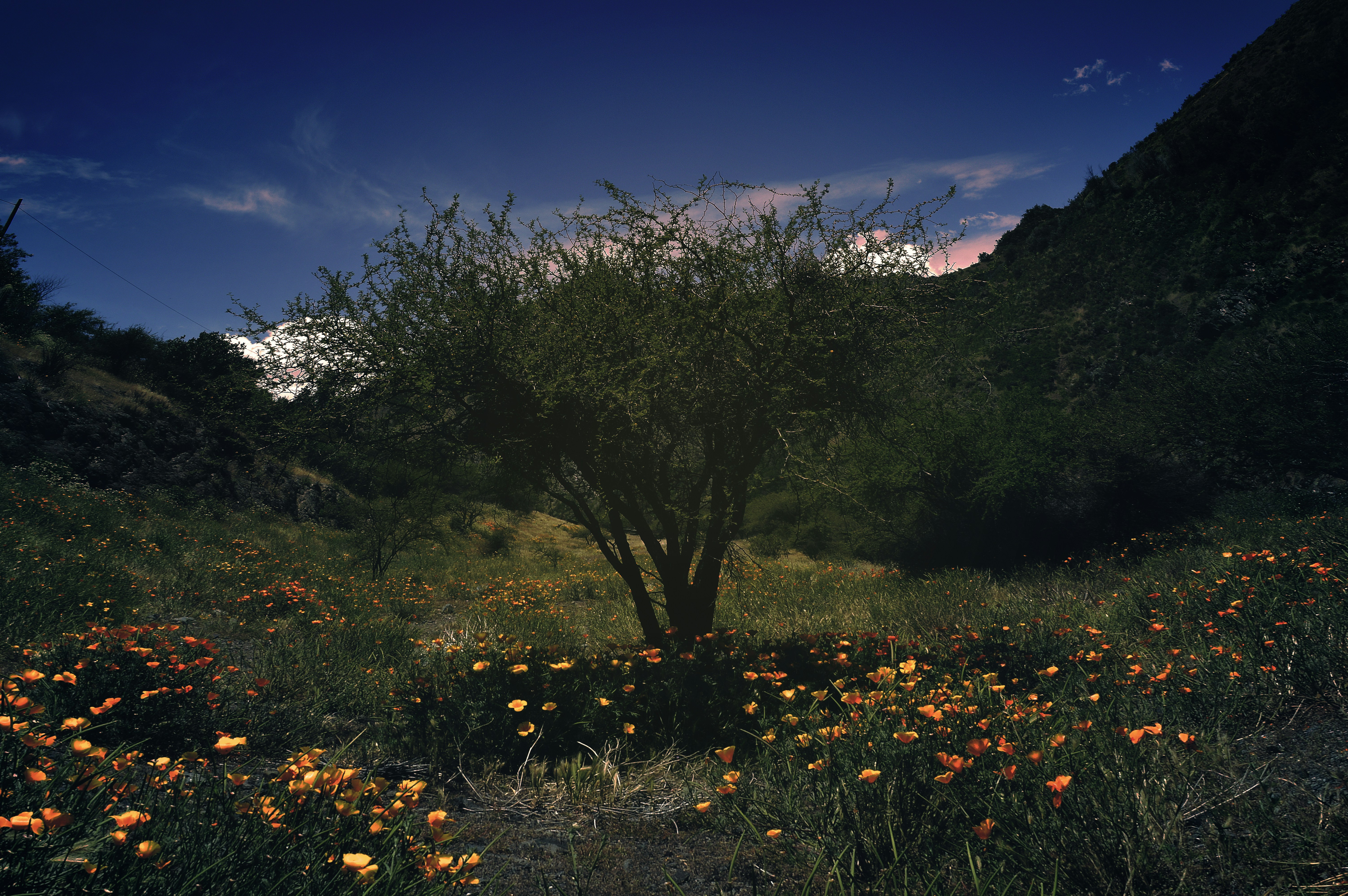 Free Unsplash photo from Manuel Beltran